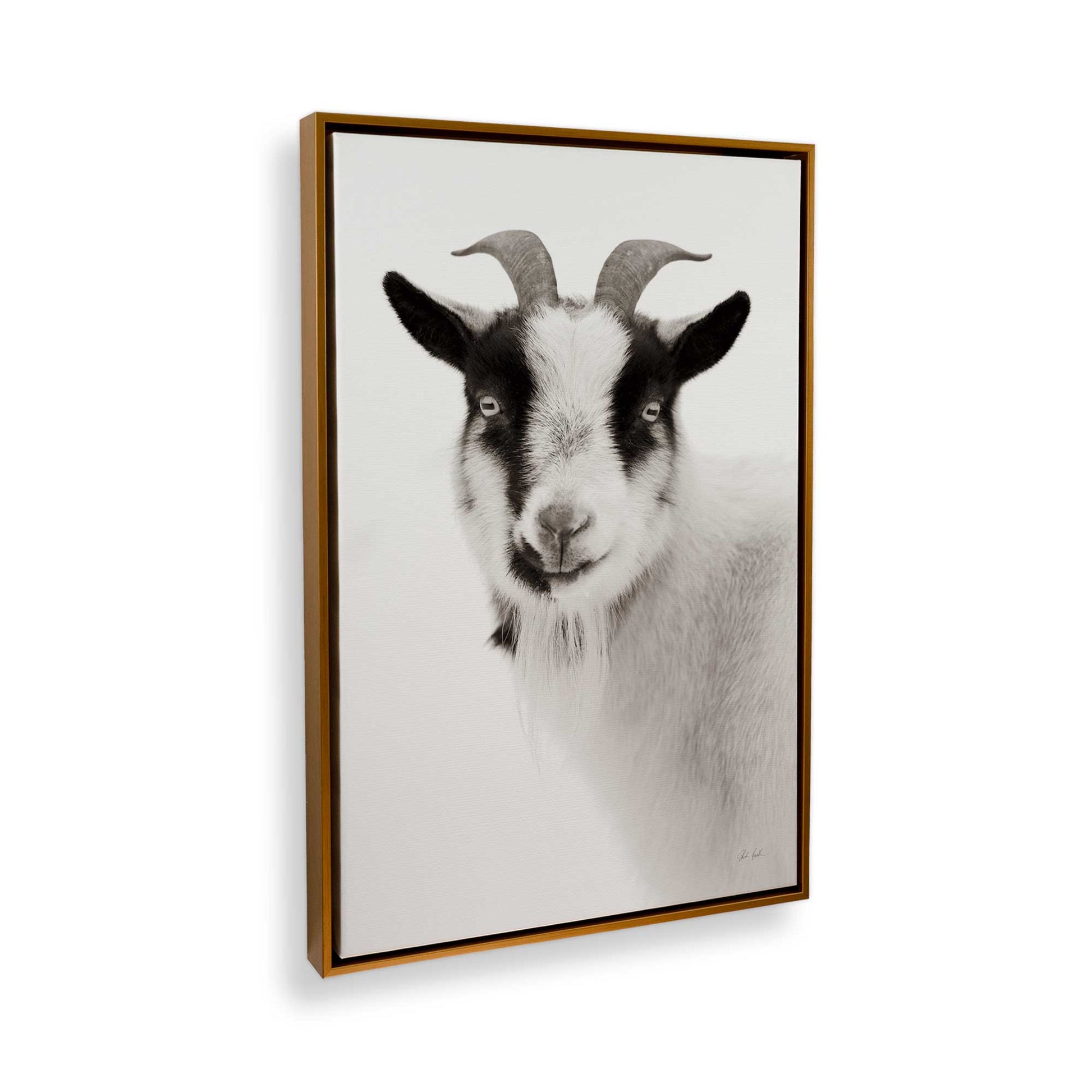 [Color:Polished Gold], Picture of the corner of the art