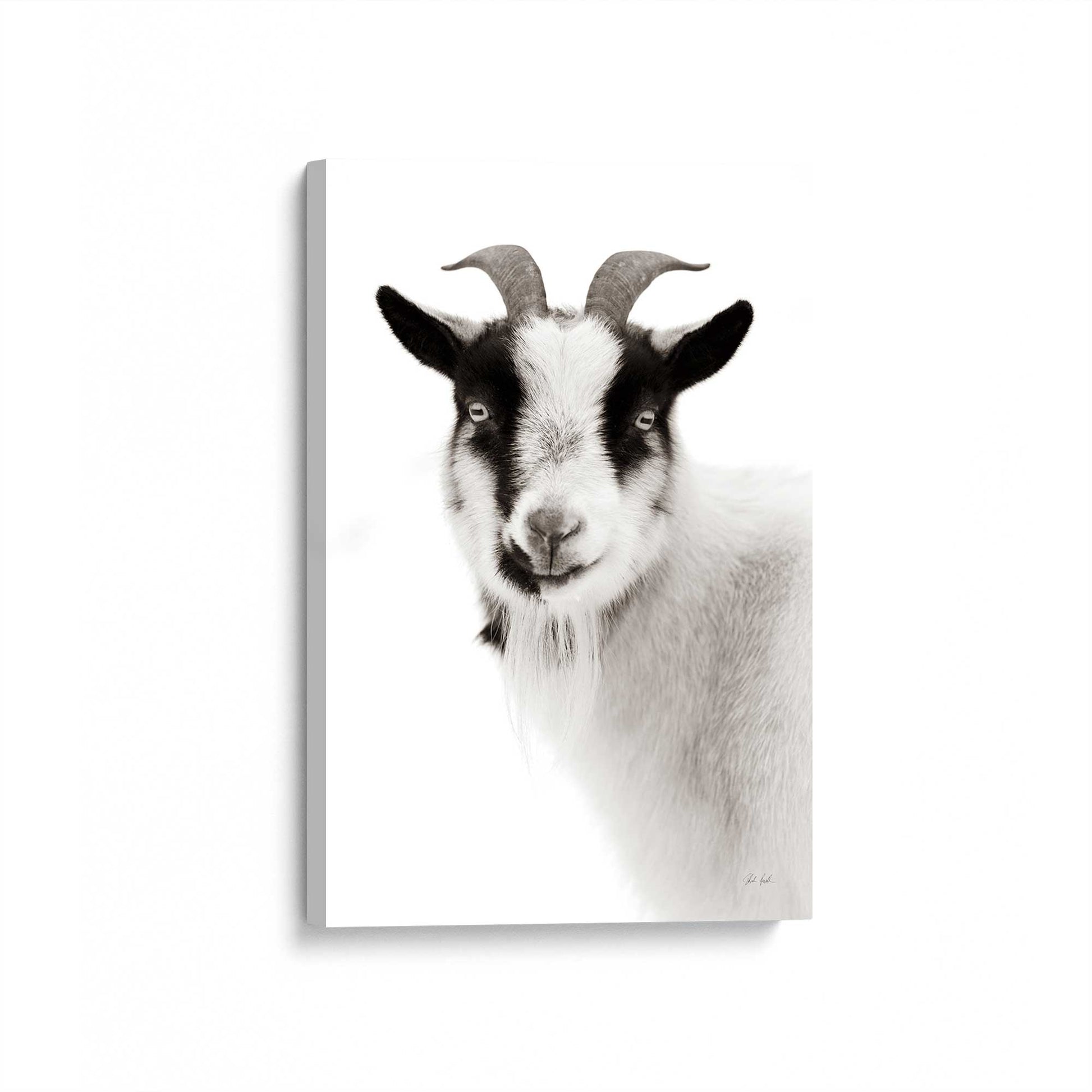 [Color:Stretched Canvas], Picture of art at an angle