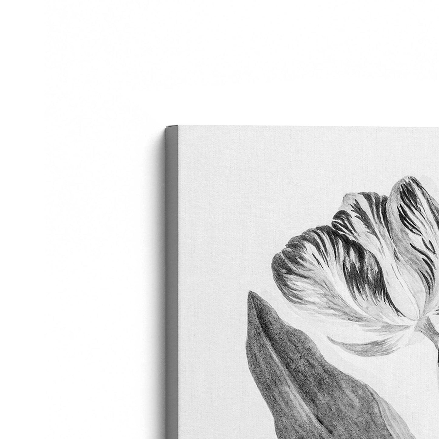 [Color:Stretched Canvas], Picture of the corner of the art