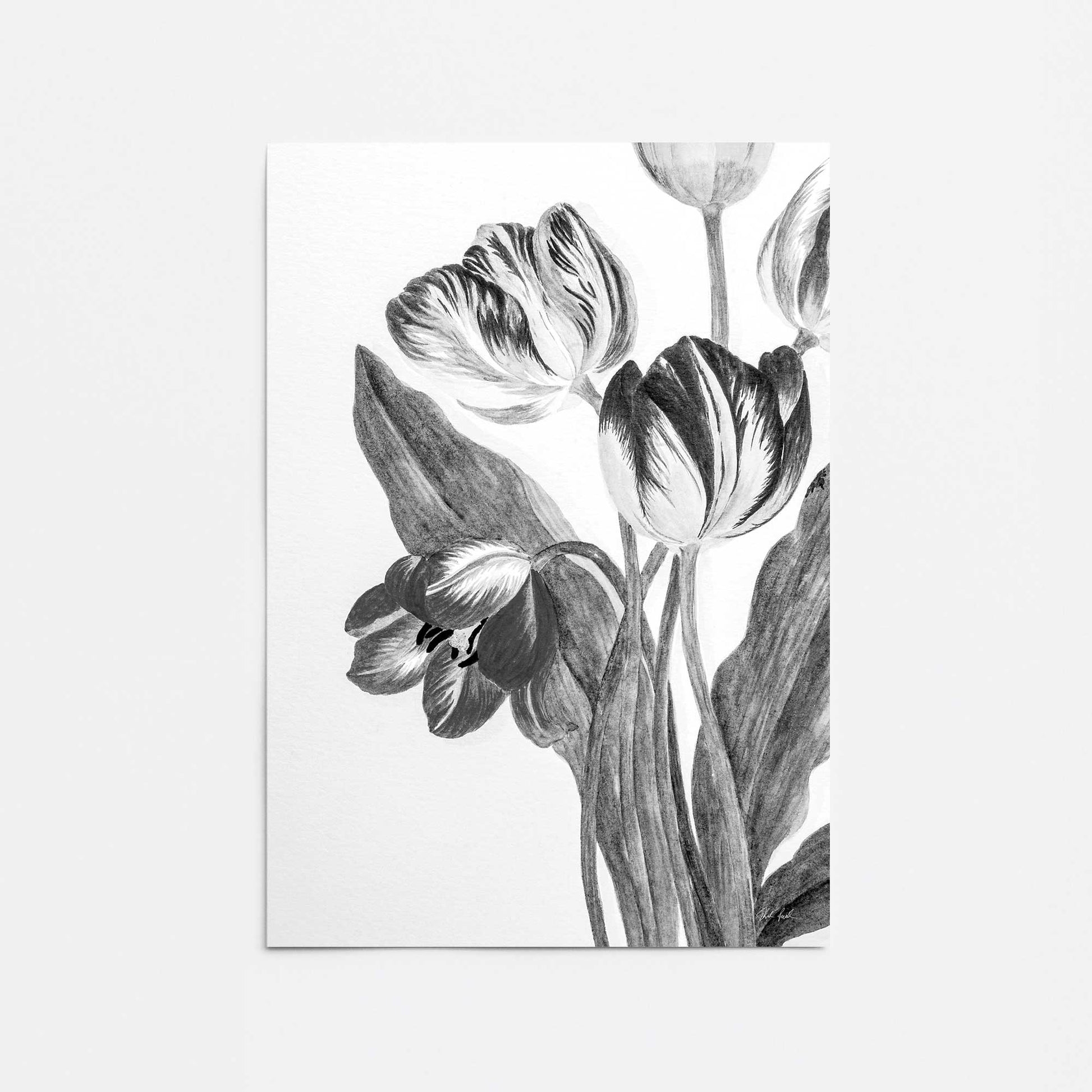 [Color:Rolled Print], Picture of close up of art