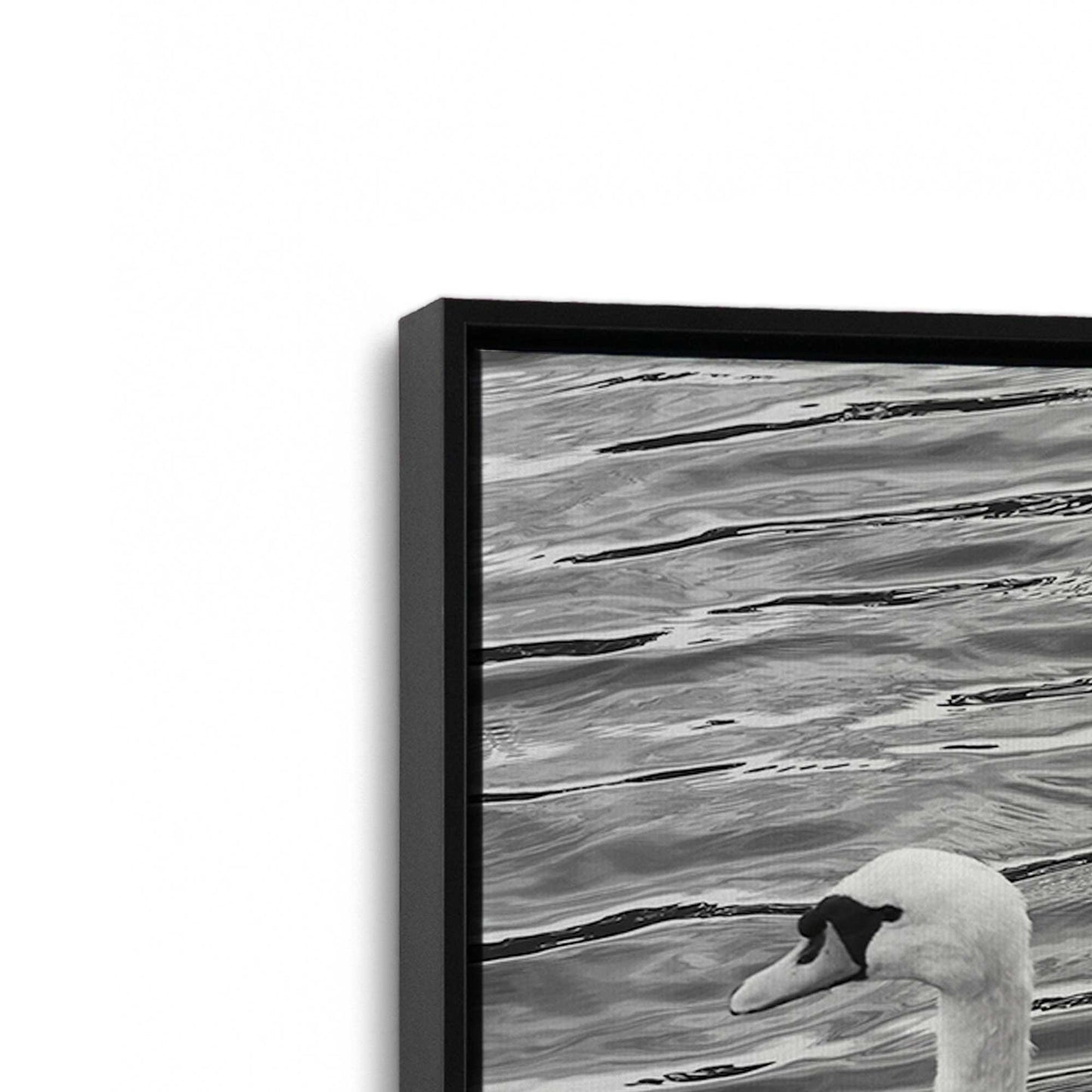 [Color:Satin Black], Picture of art in a Satin Black frame at an angle