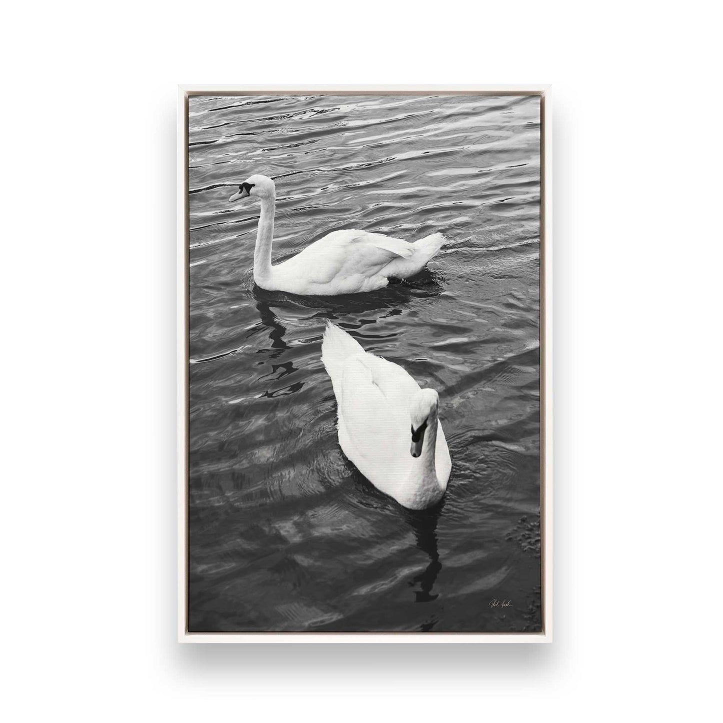 [Color:Opaque White], Picture of art in a White frame