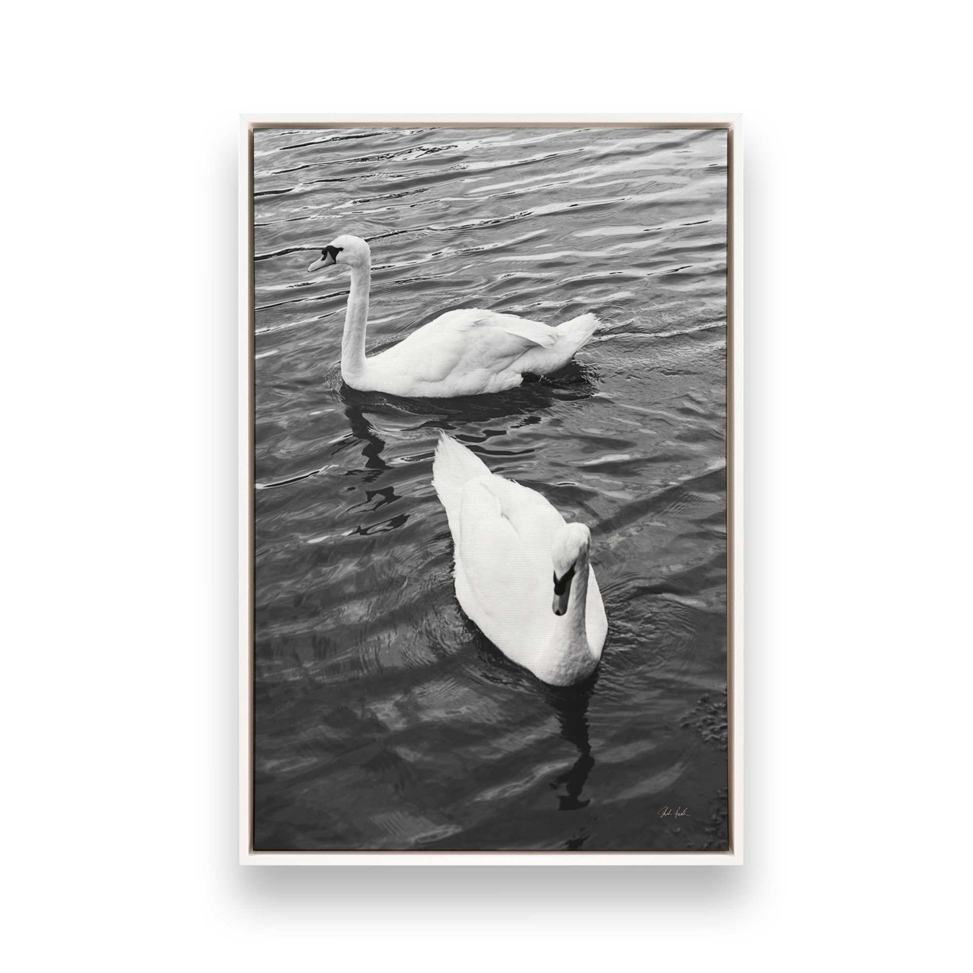 [Color:Opaque White], Picture of art in a White frame