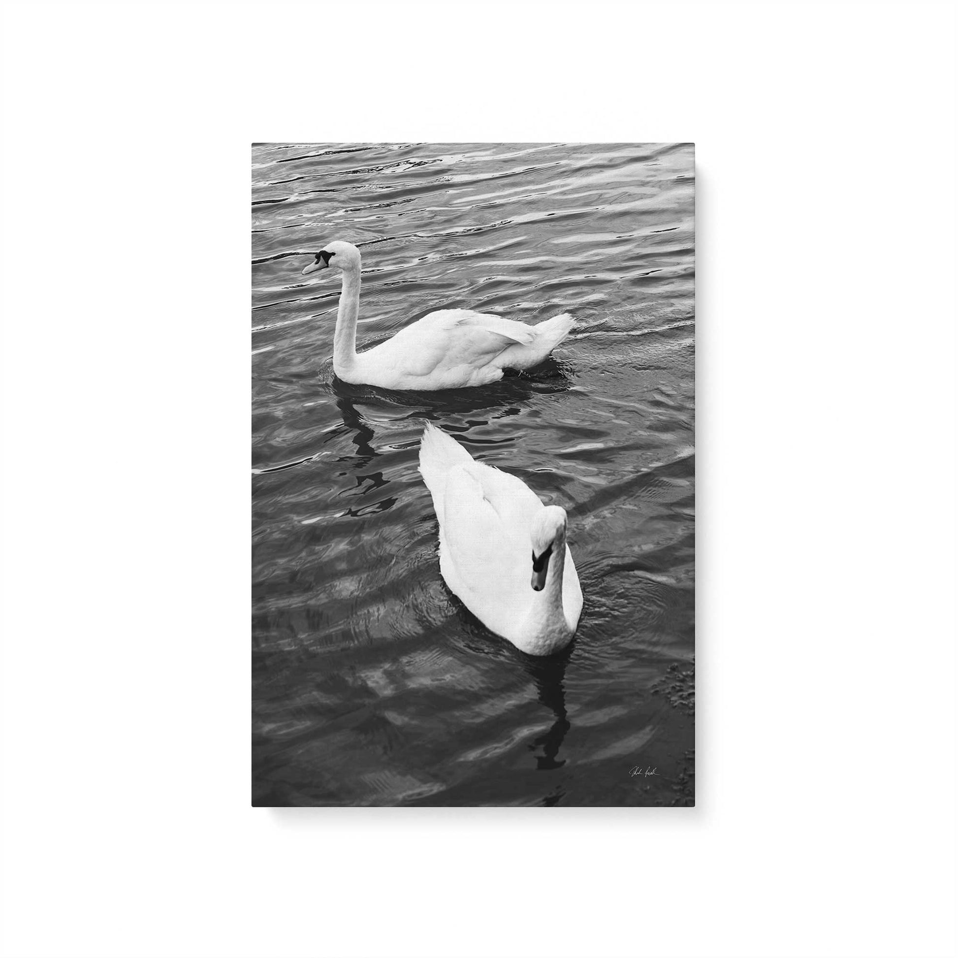 [Color:Stretched Canvas], Picture of art