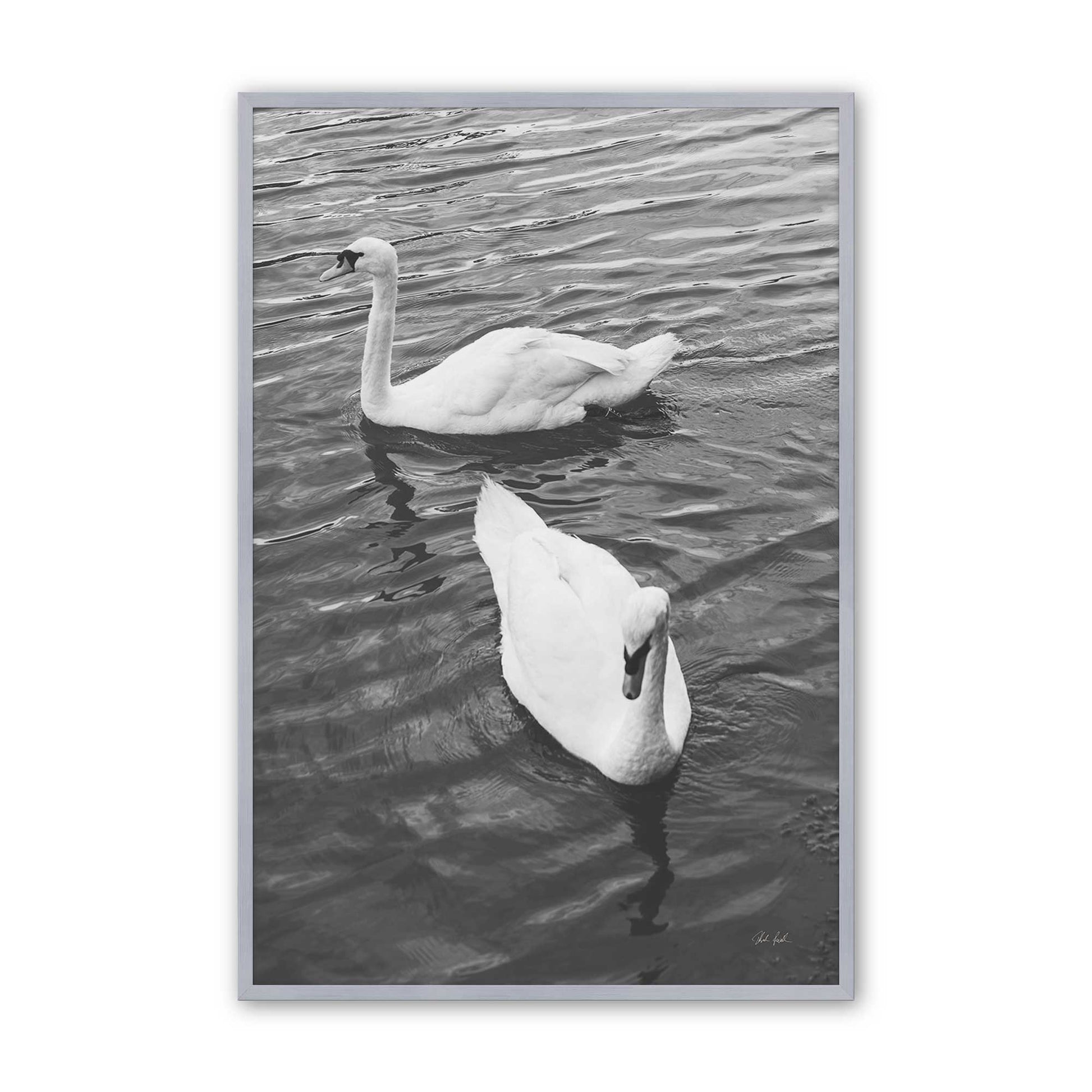 [Color:Polished Chrome], Picture of art in a Polished Chrome frame
