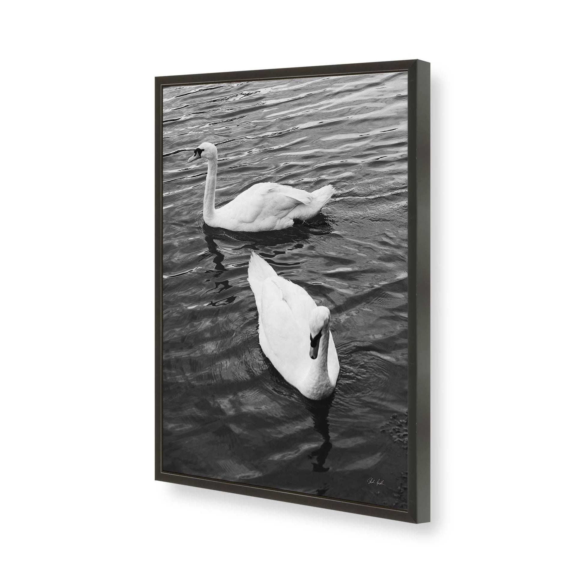 [Color:Satin Black], Picture of art in a Satin Black frame of the corner