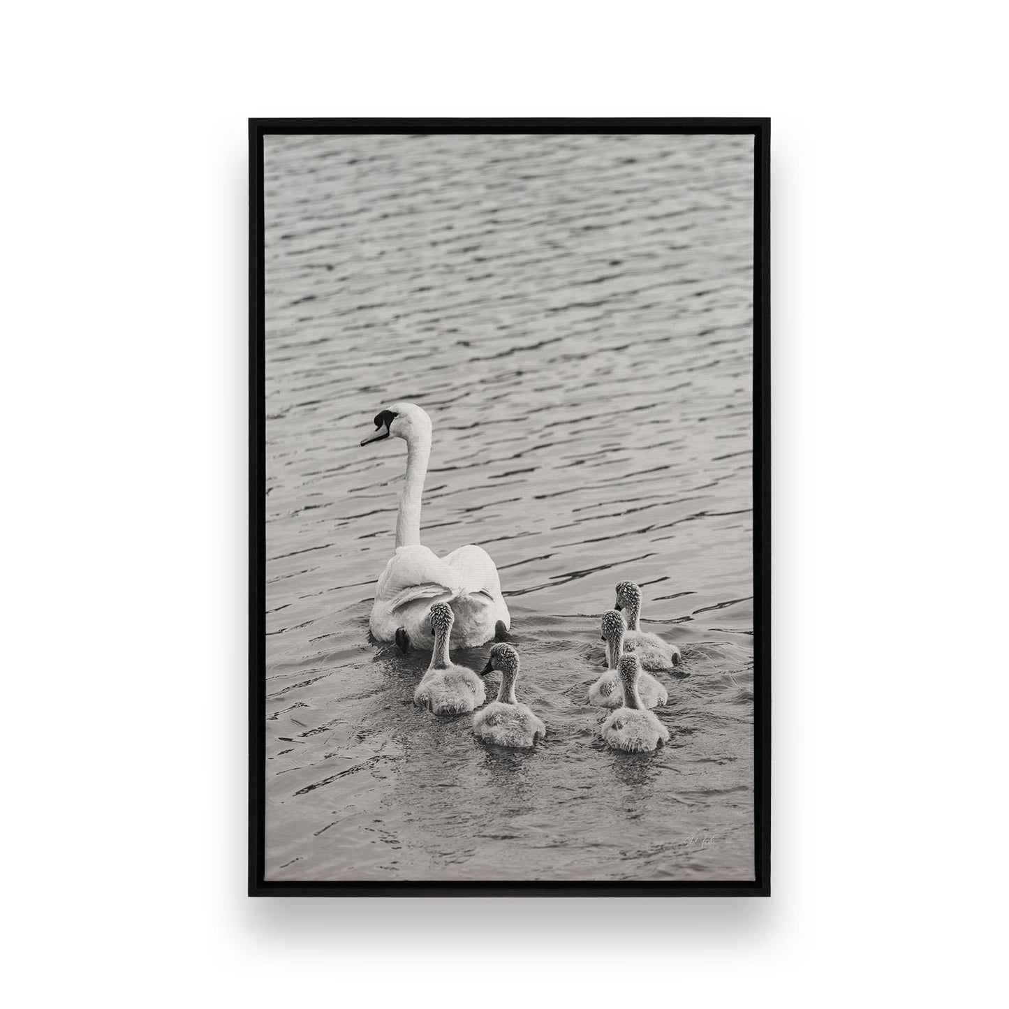 [Color:Satin Black], Picture of art in a Satin Black frame