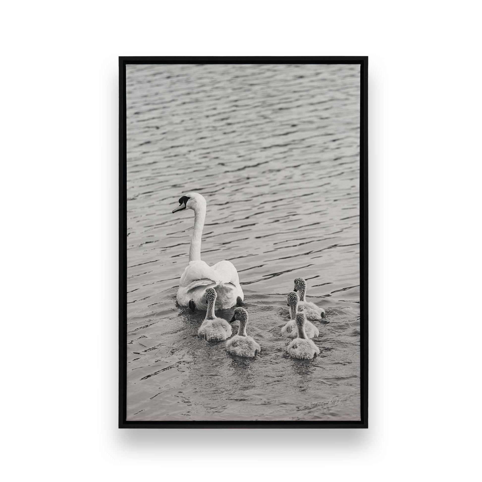 [Color:Satin Black], Picture of art in a Satin Black frame