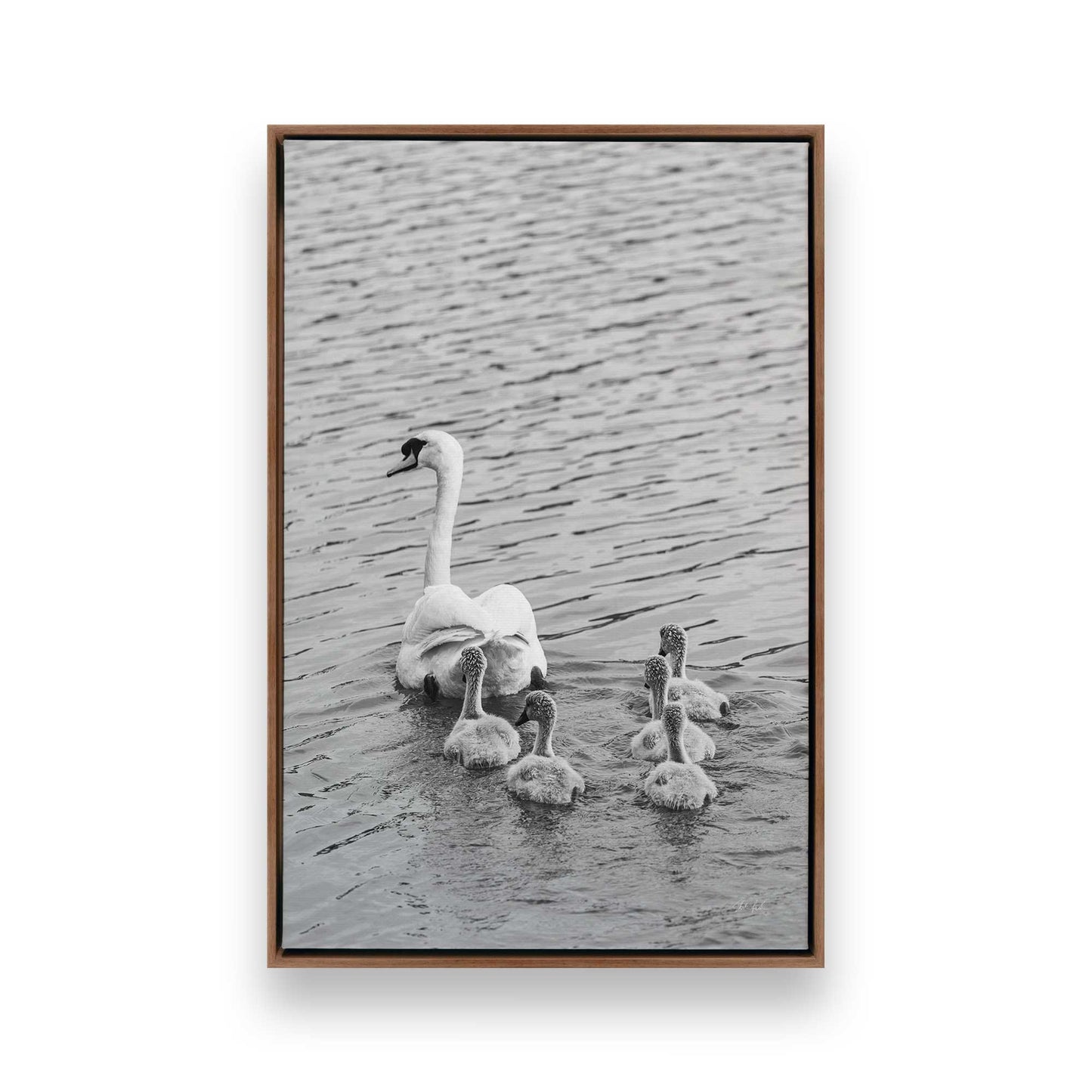 [Color:Walnut], Picture of art in a Walnut frame