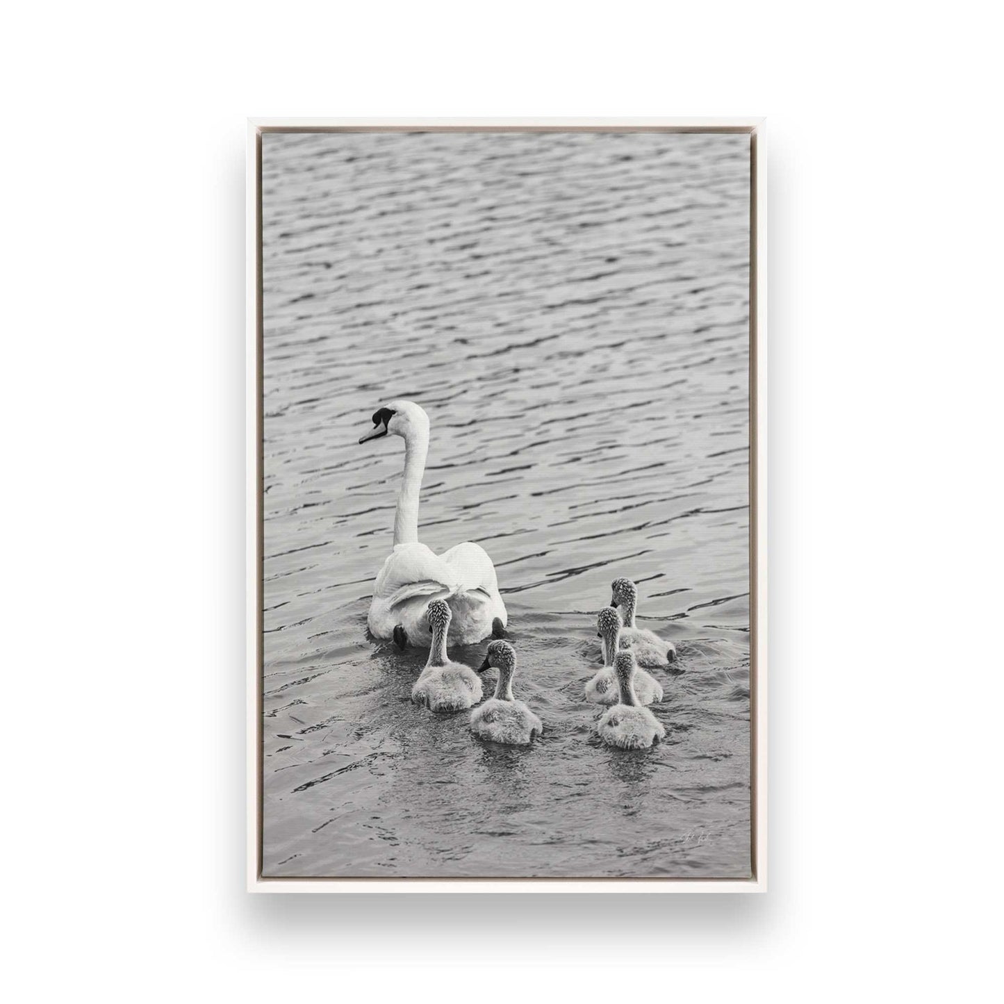 [Color:Opaque White], Picture of art in a White frame