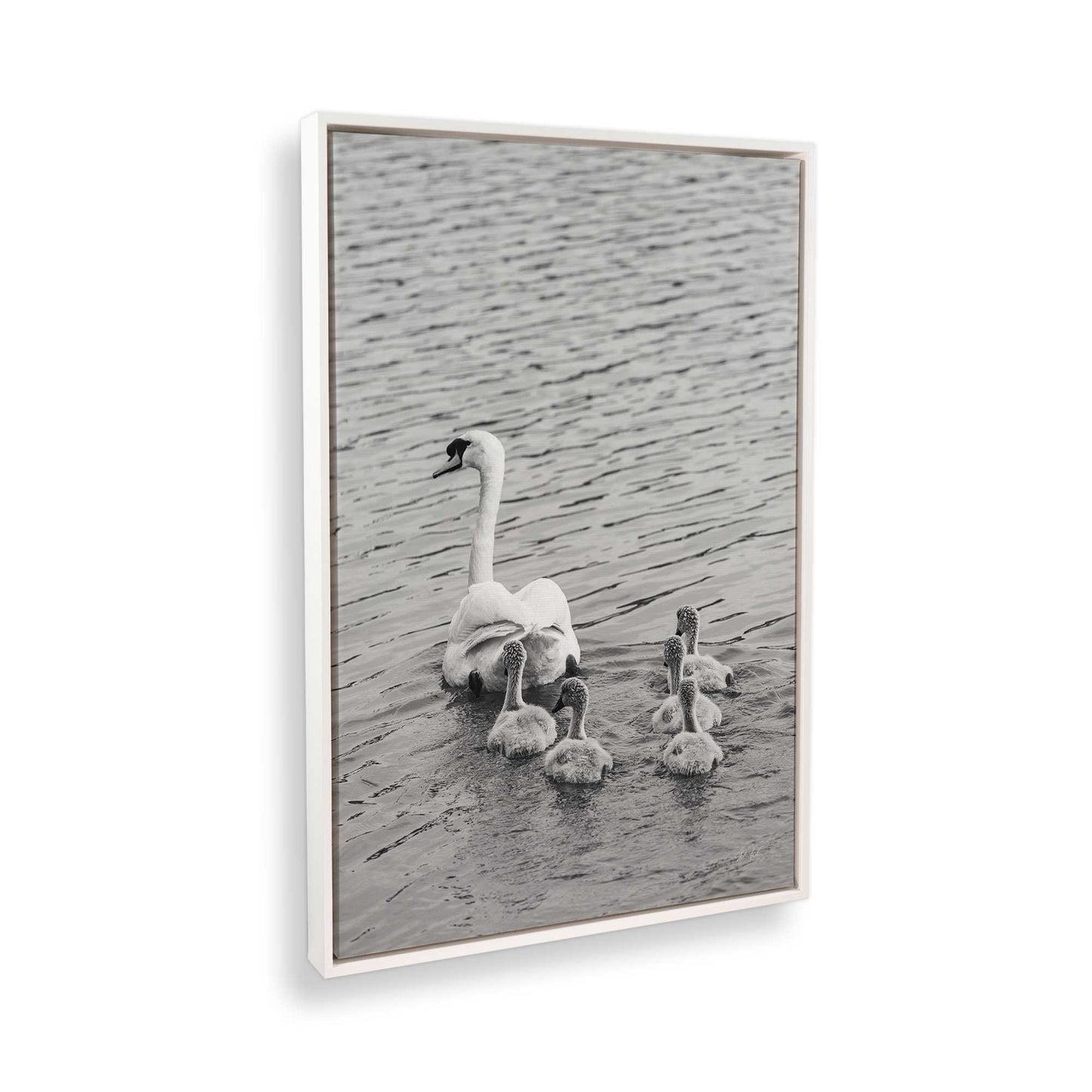 [Color:Opaque White], Picture of the corner of the art