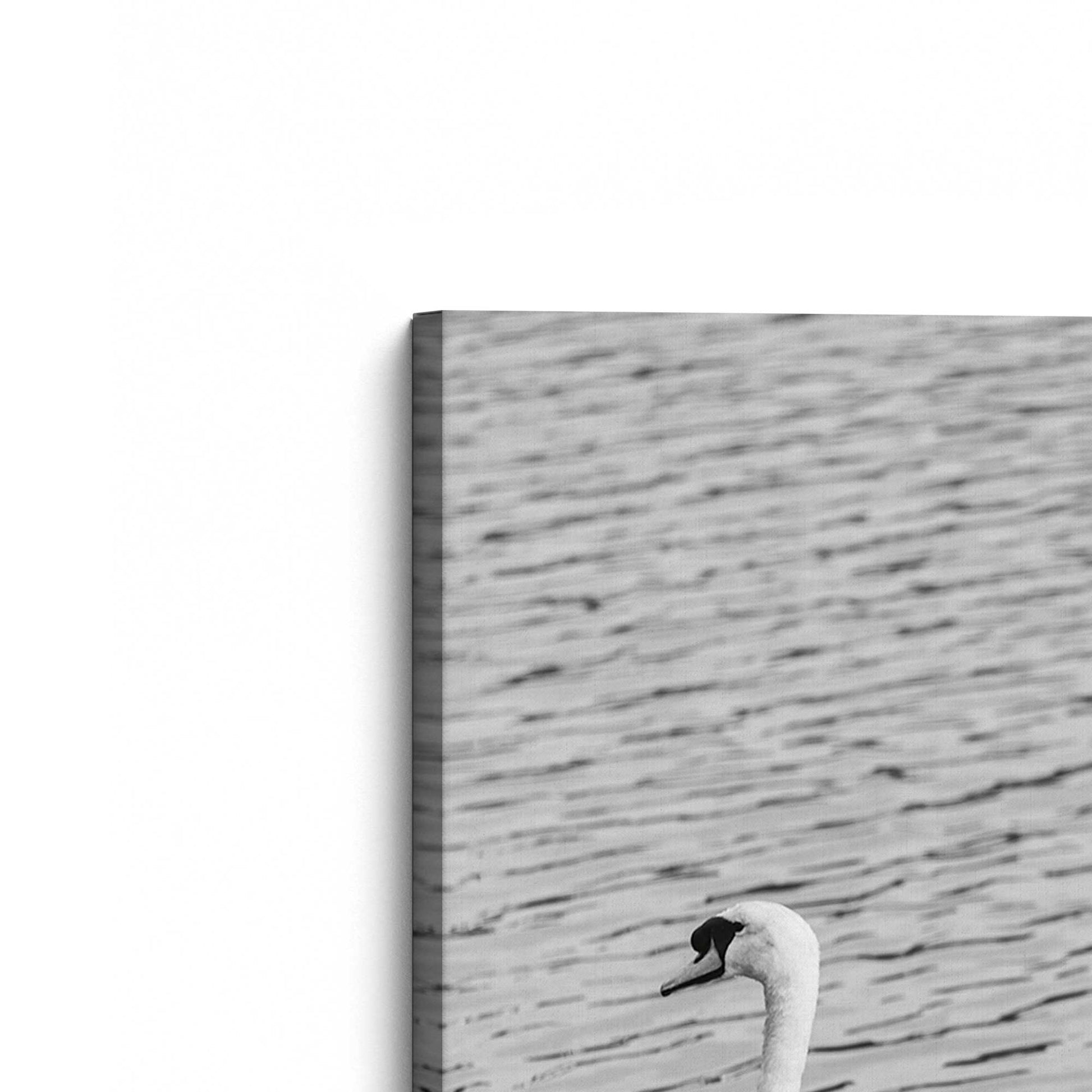 [Color:Stretched Canvas], Picture of the corner of the art