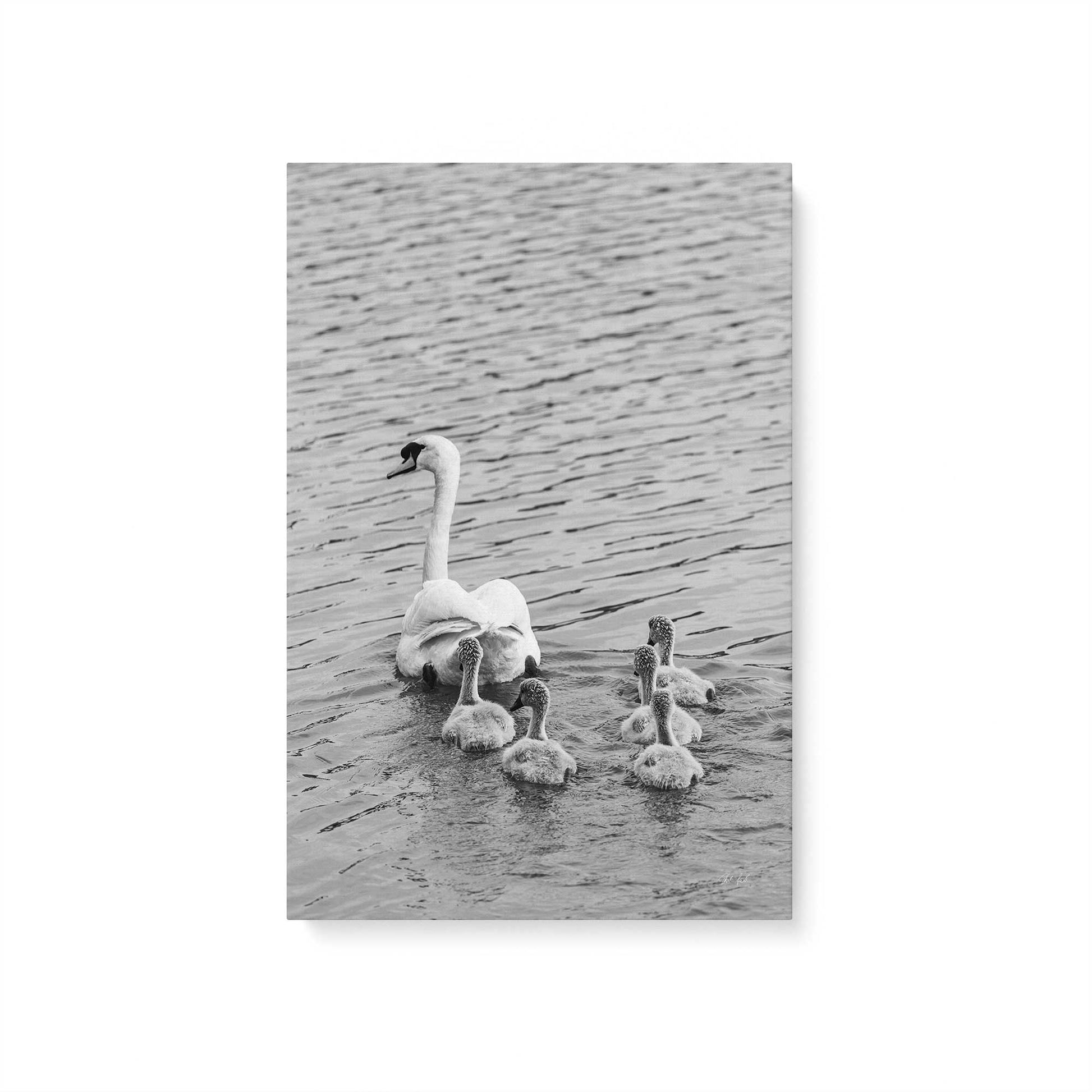 [Color:Stretched Canvas], Picture of art