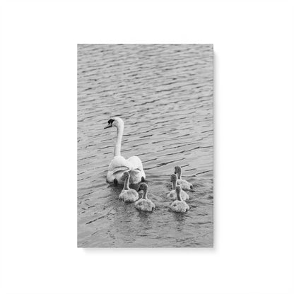 [Color:Stretched Canvas], Picture of art
