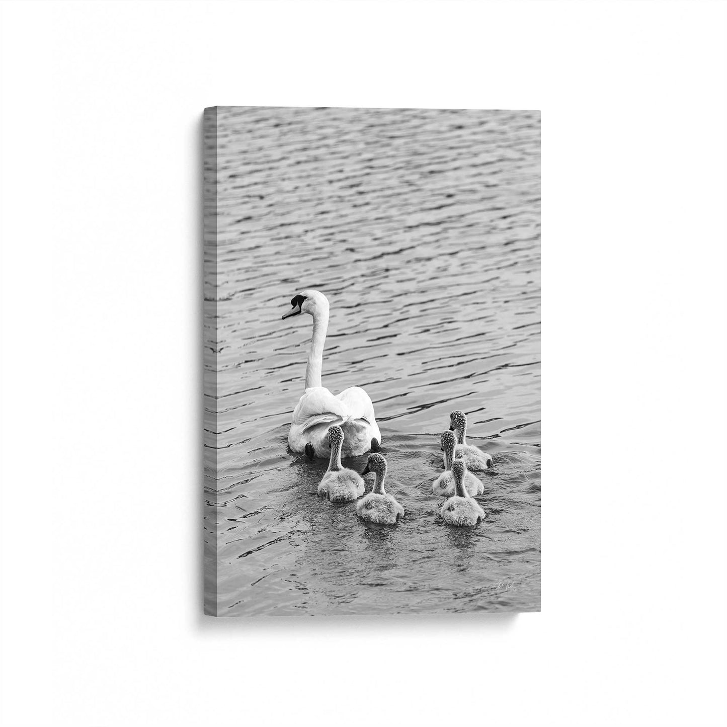 [Color:Stretched Canvas], Picture of art at an angle