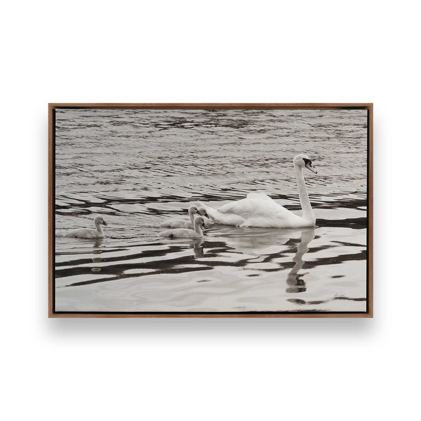 [Color:Walnut], Picture of art in a Walnut frame