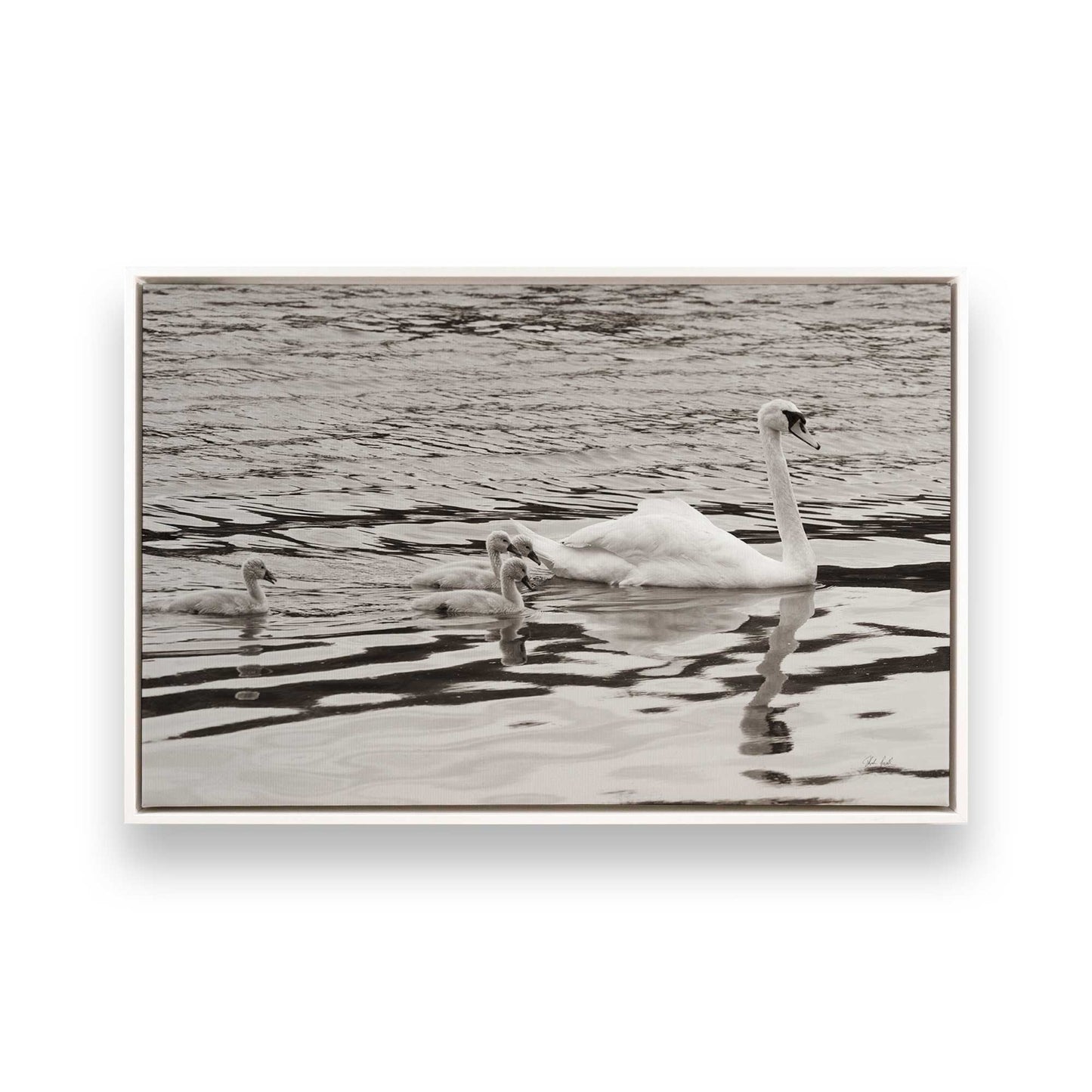 [Color:Opaque White], Picture of art in a White frame