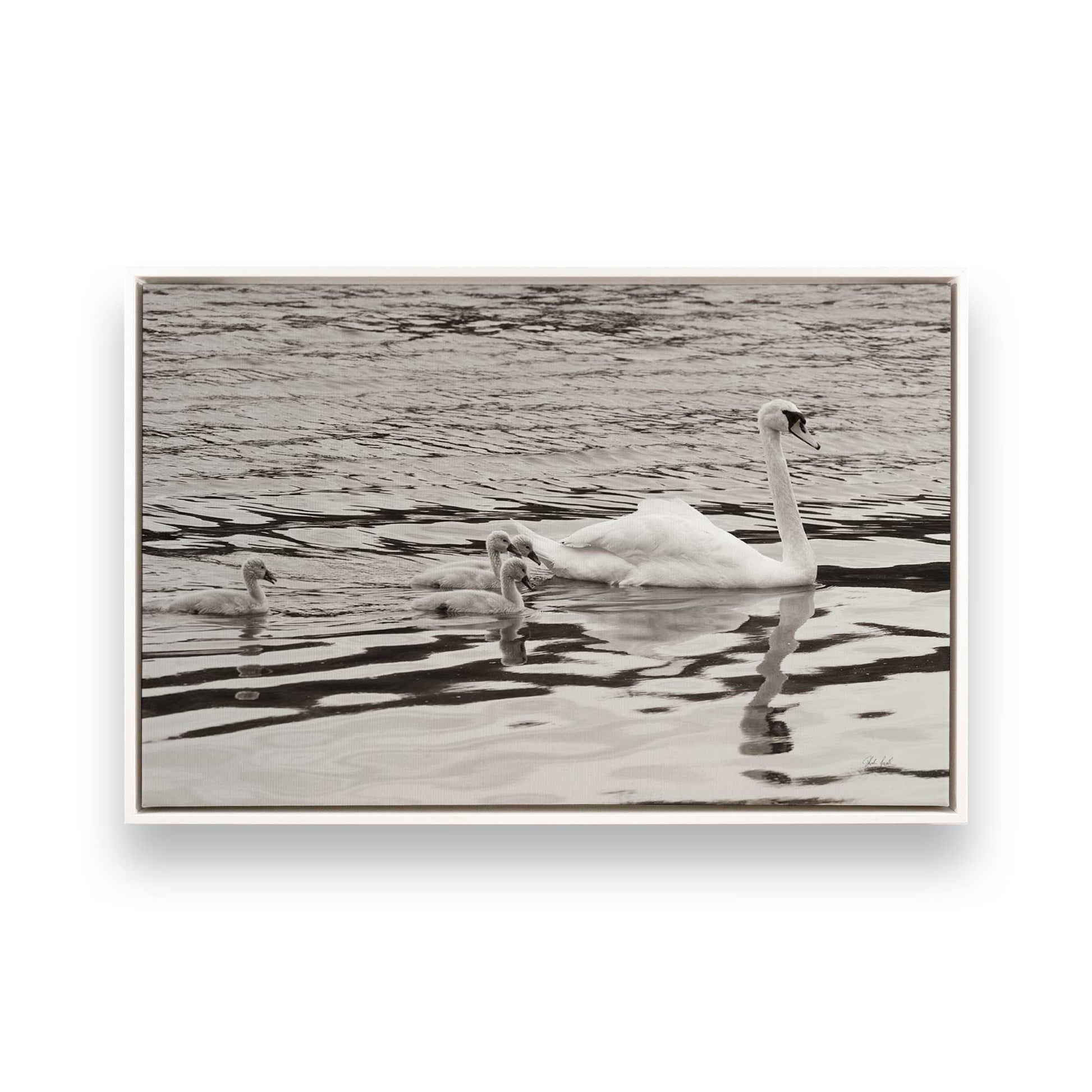 [Color:Opaque White], Picture of art in a White frame
