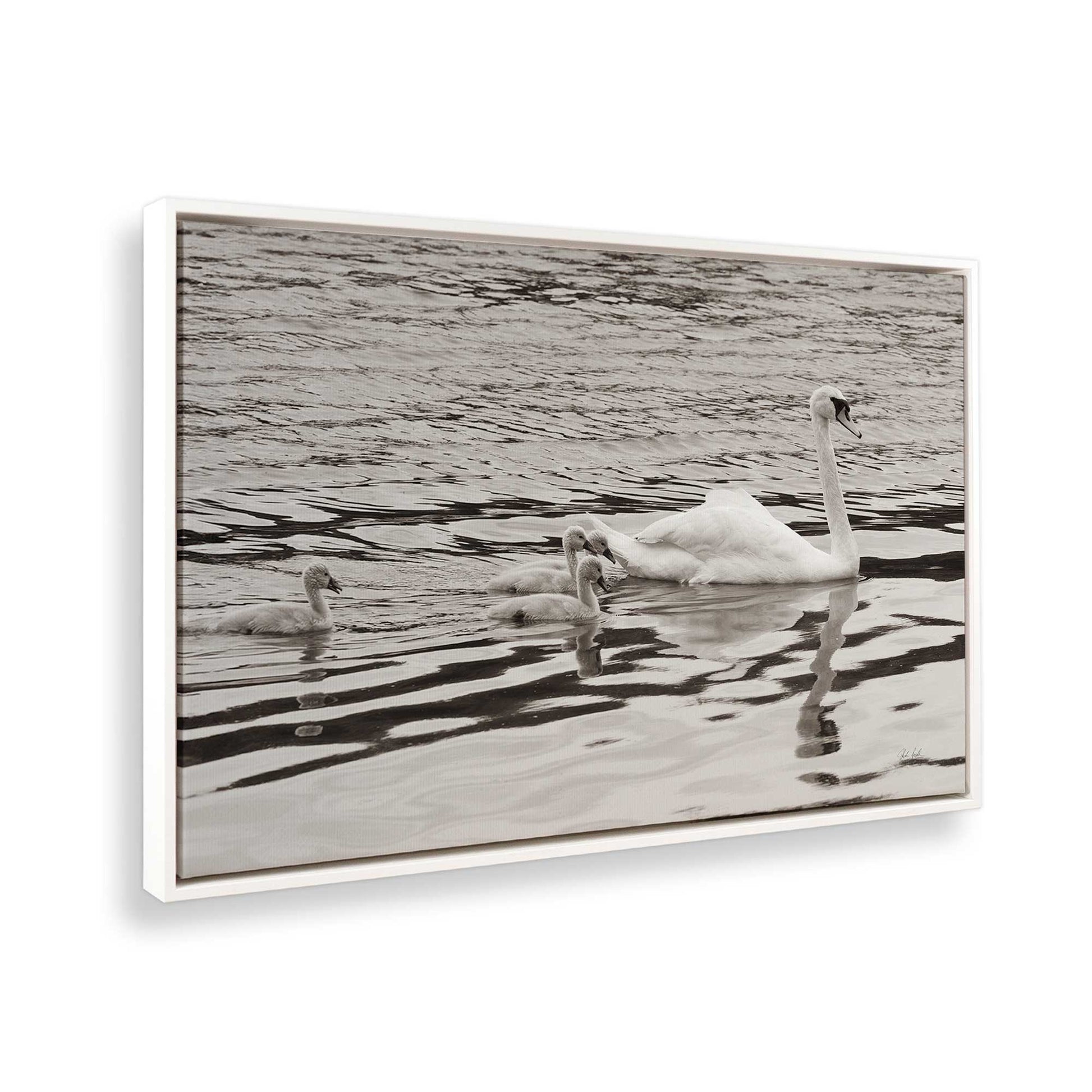 [Color:Opaque White], Picture of the corner of the art