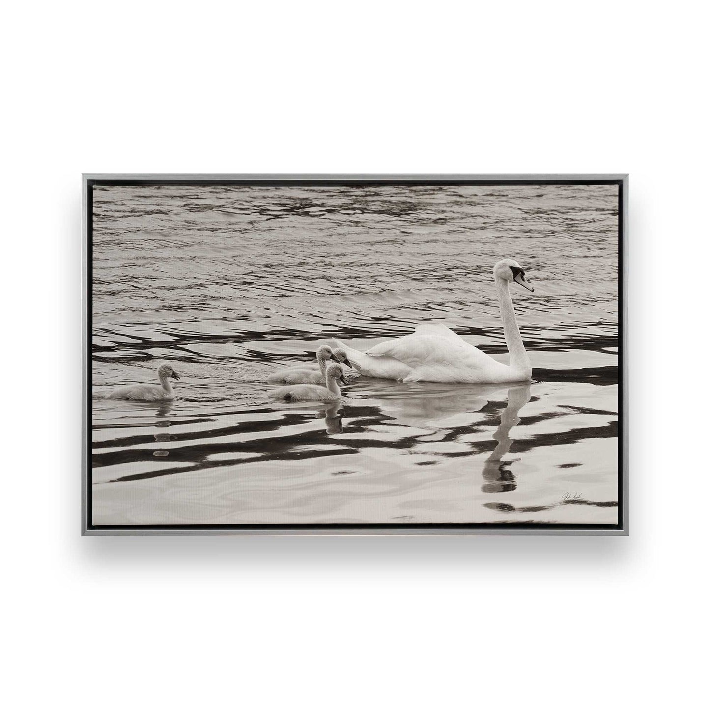 [Color:Polished Chrome], Picture of art in a Polished Chrome frame
