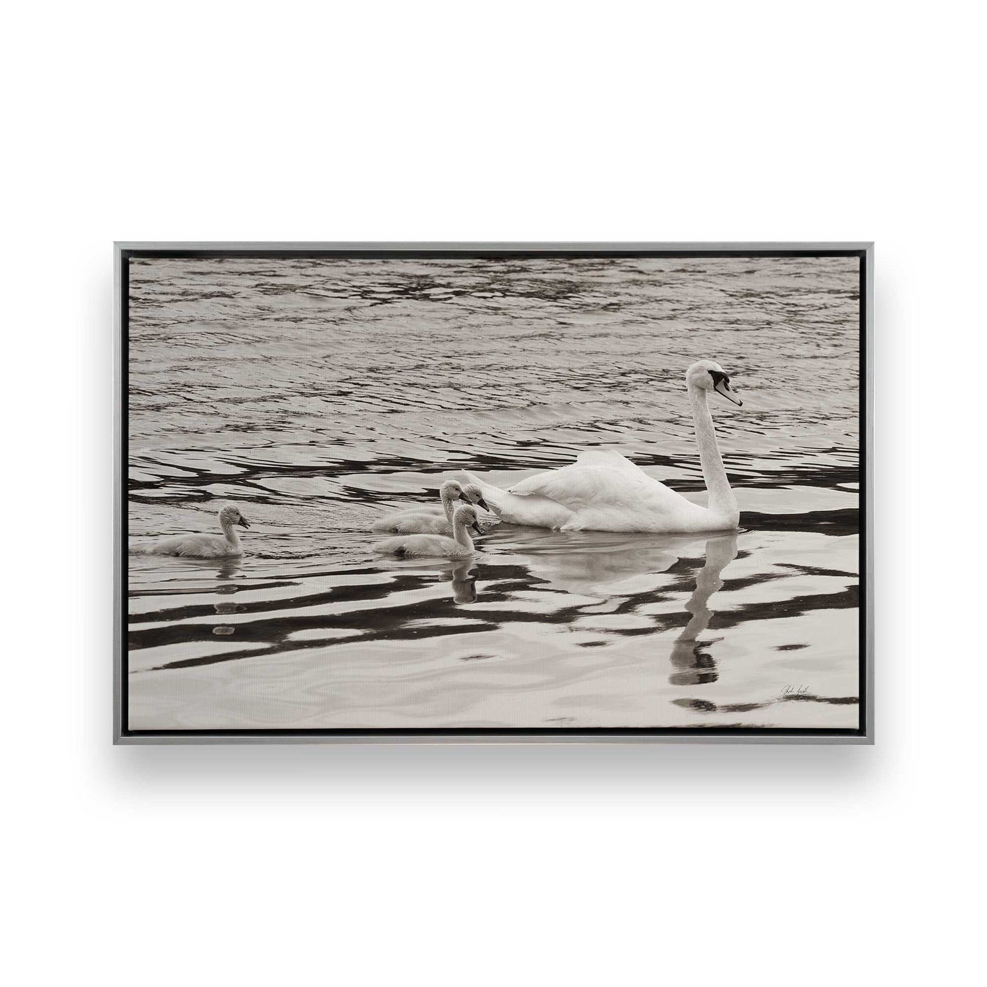 [Color:Polished Chrome], Picture of art in a Polished Chrome frame