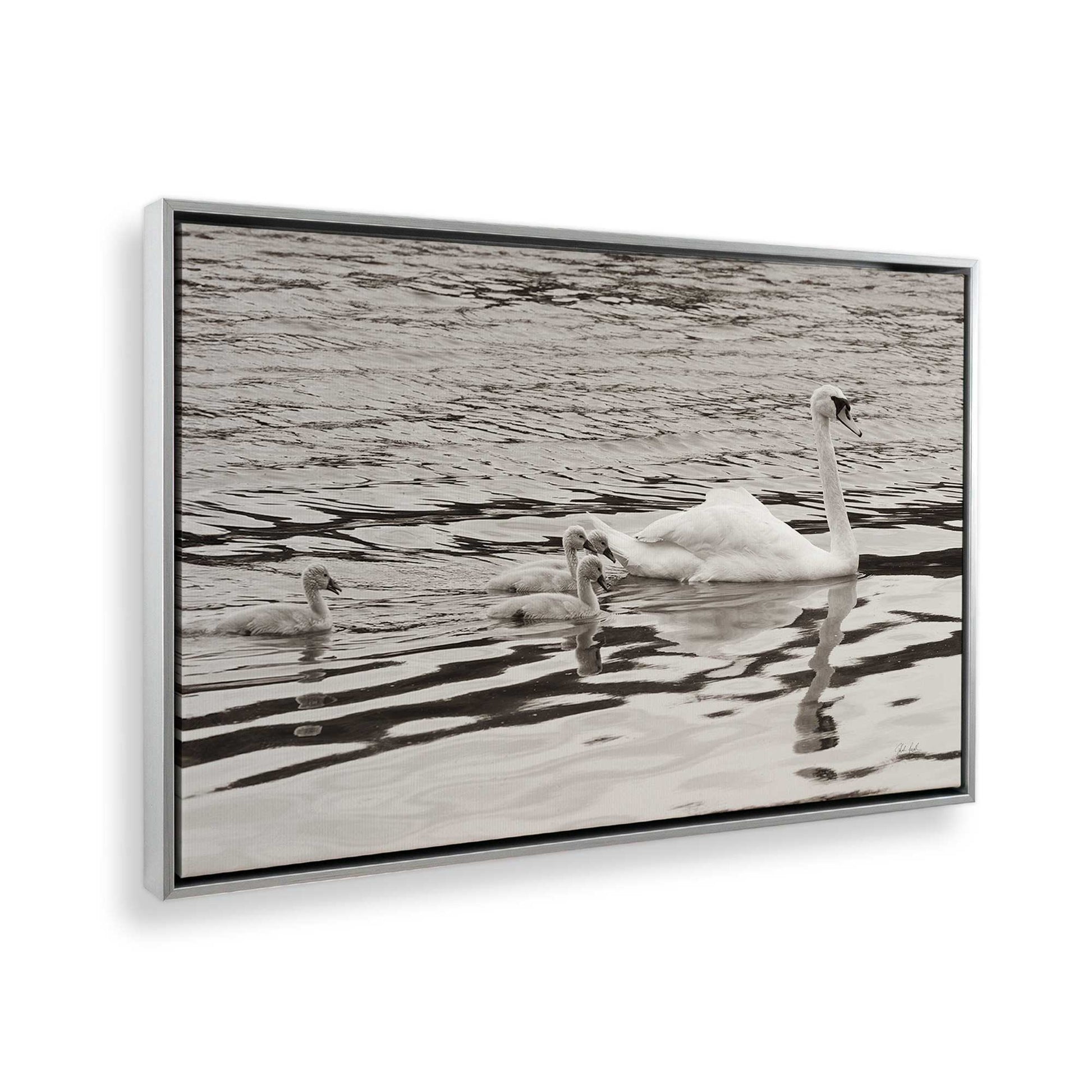 [Color:Polished Chrome], Picture of the corner of the art