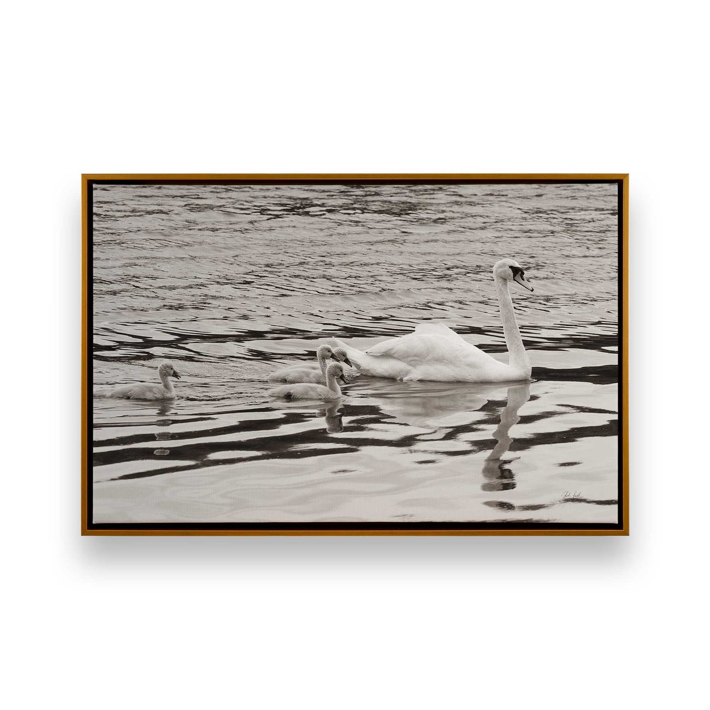 [Color:Polished Gold], Picture of art in a Polished Gold frame