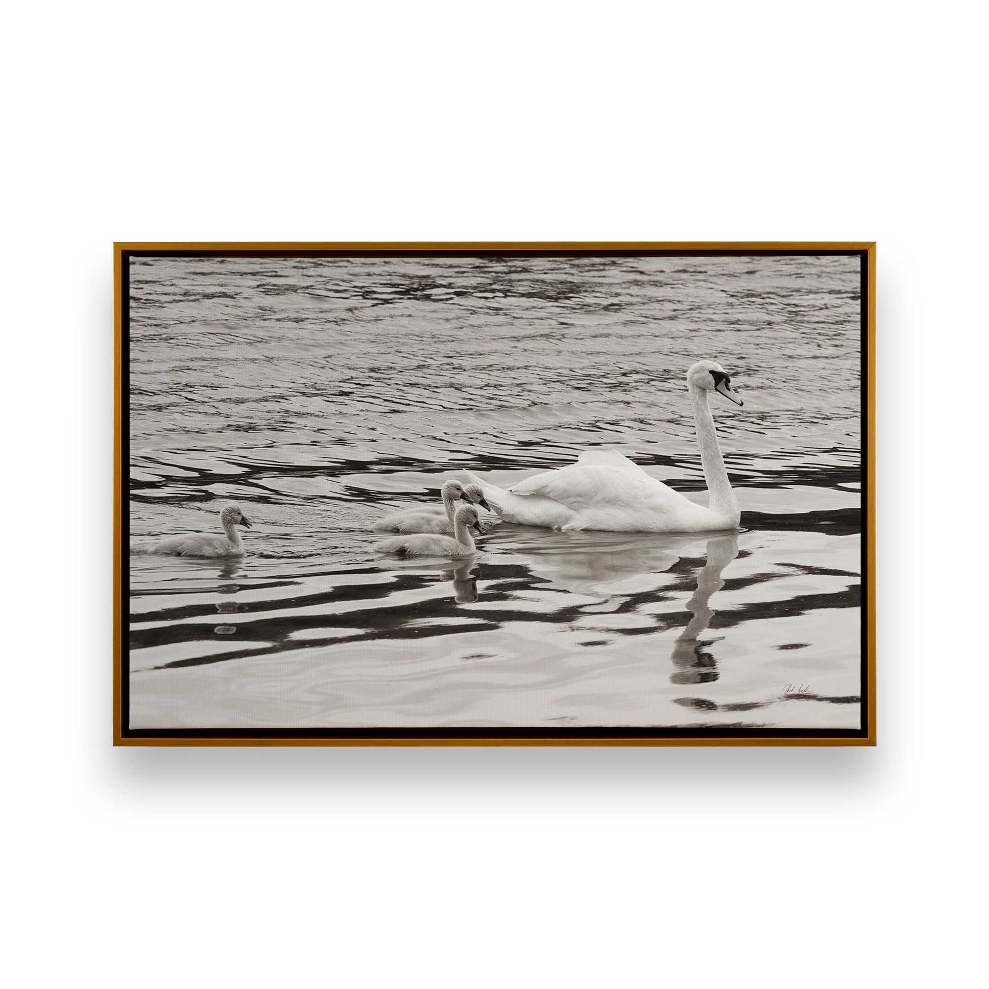 [Color:Polished Gold], Picture of art in a Polished Gold frame