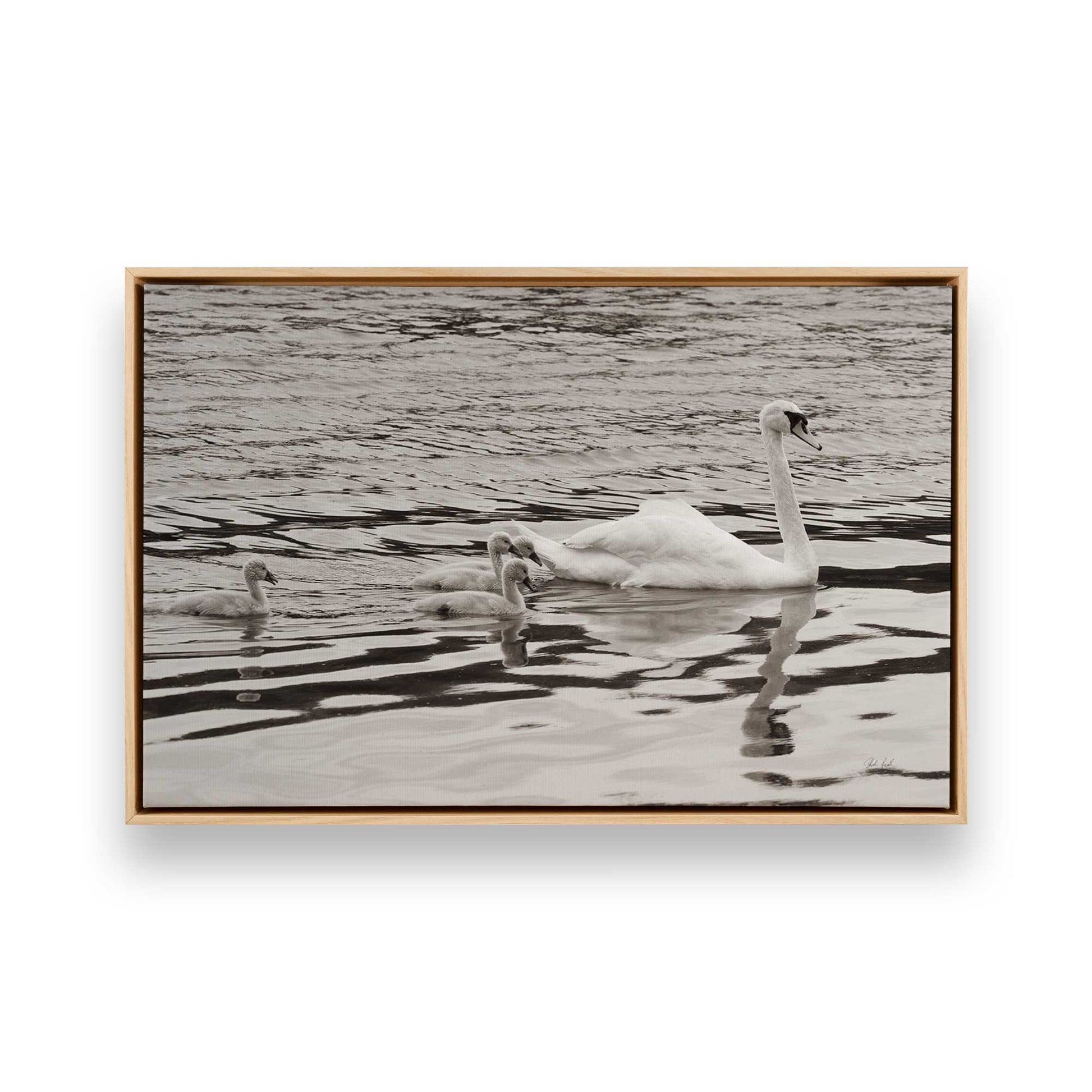 [Color:American Maple], Picture of art in a American Maple frame
