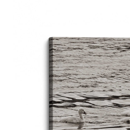 [Color:Stretched Canvas], Picture of the corner of the art
