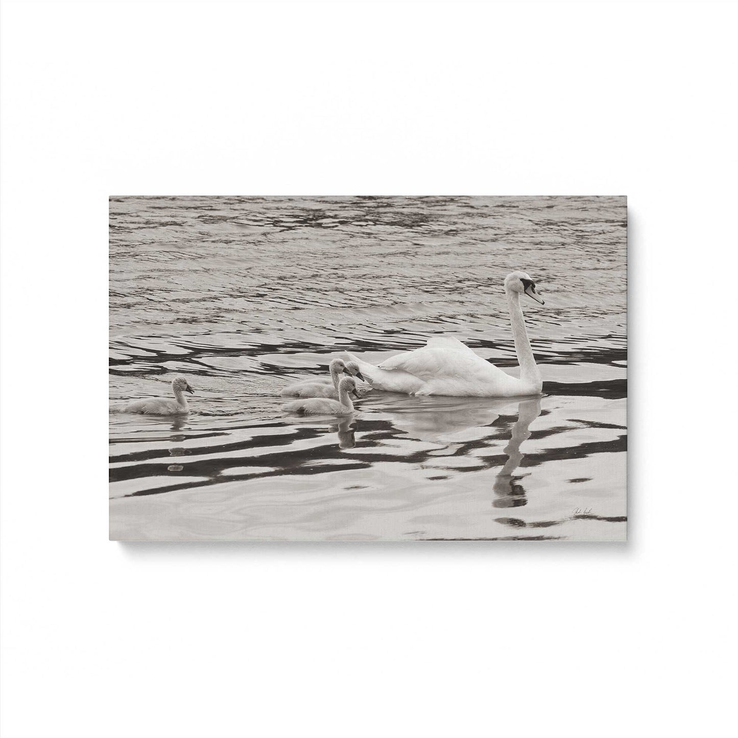 [Color:Stretched Canvas], Picture of art