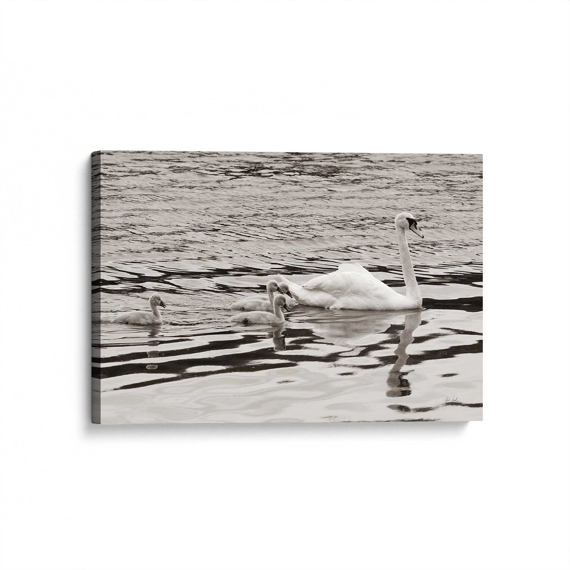 [Color:Stretched Canvas], Picture of art at an angle