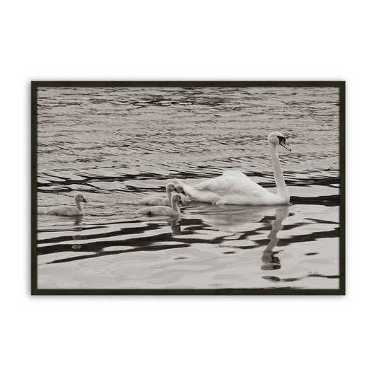 [Color:Satin Black], Front of the art