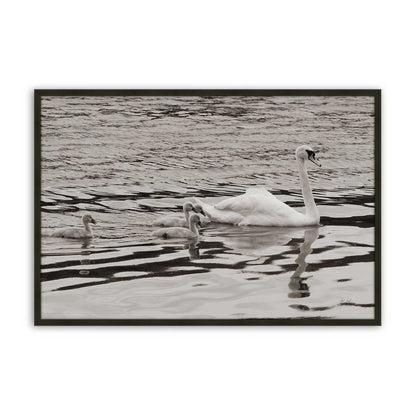 [Color:Satin Black], Picture of art in a Satin Black frame