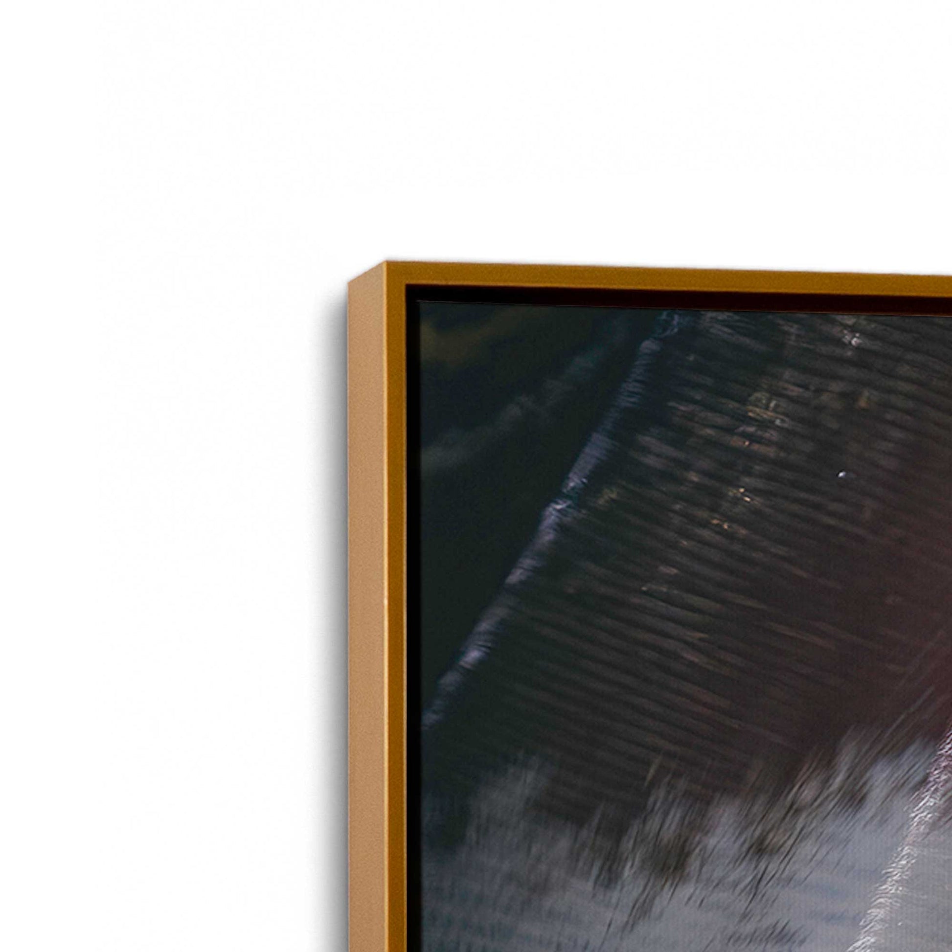 [Color:Polished Gold], Picture of art in a Polished Gold frame at an angle