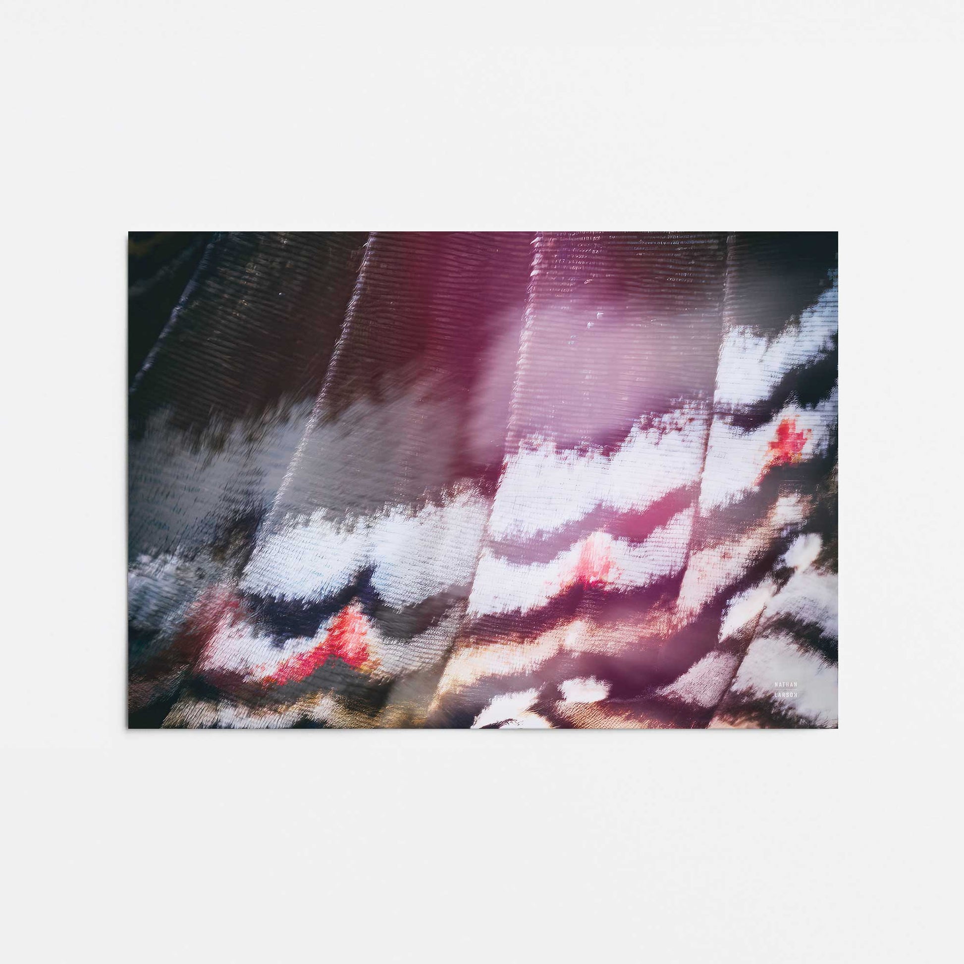 [Color:Rolled Print], Picture of close up of art