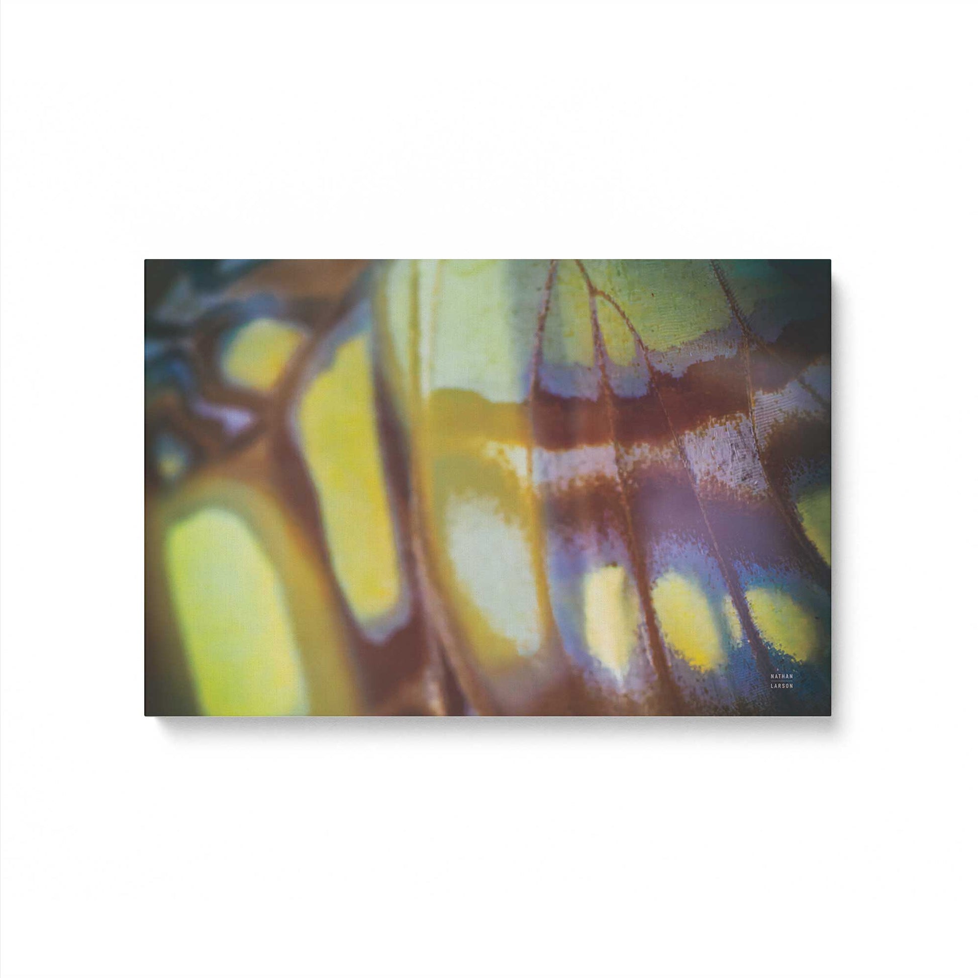 [Color:Stretched Canvas], Picture of art