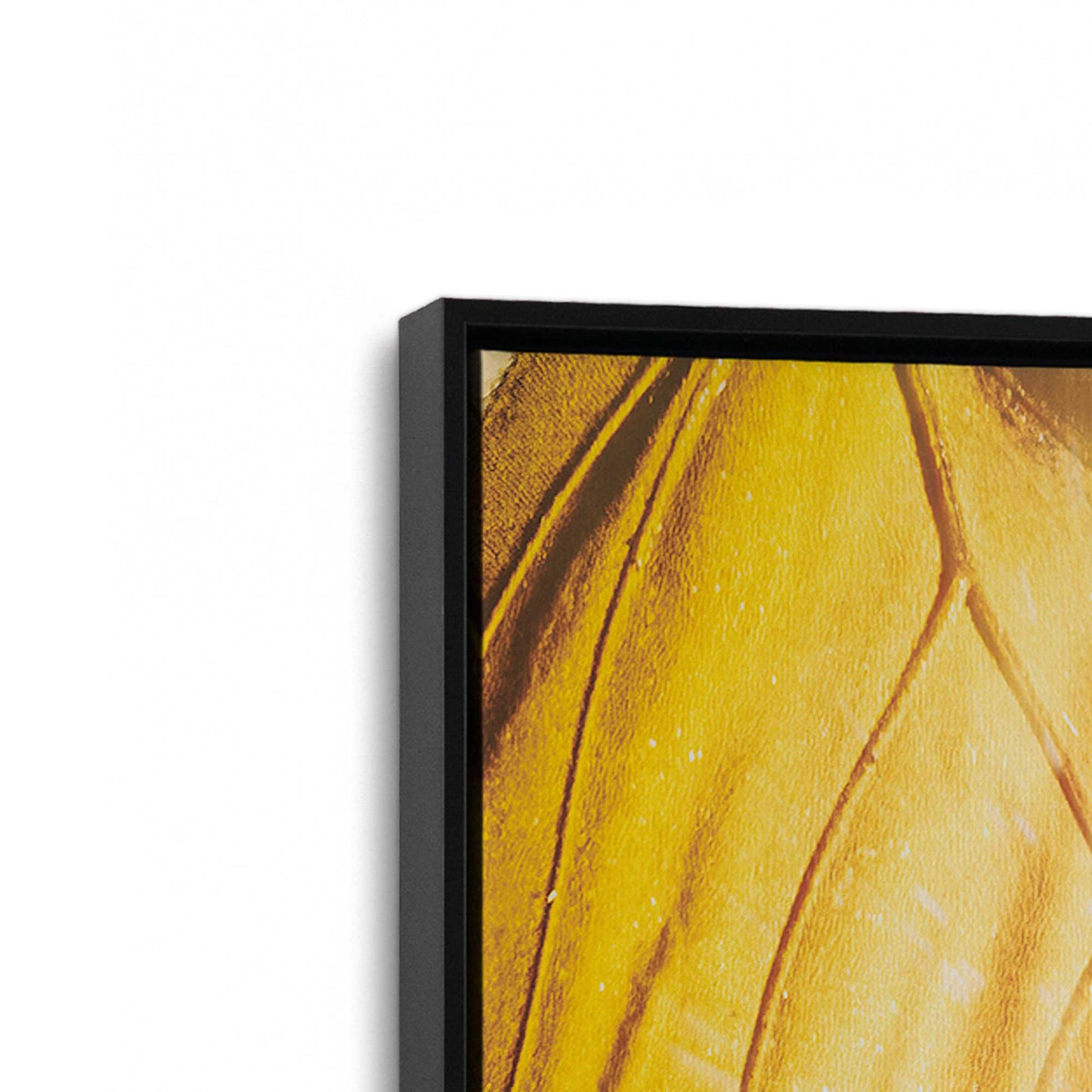 [Color:Satin Black], Picture of art in a Satin Black frame at an angle