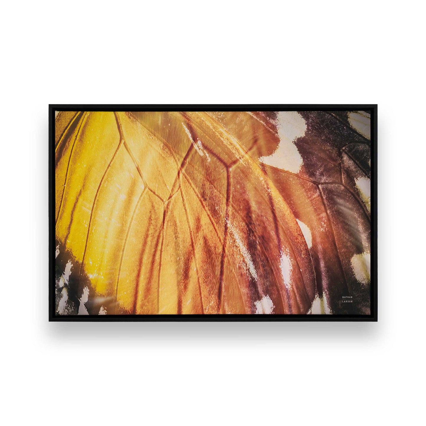 [Color:Satin Black], Picture of art in a Satin Black frame