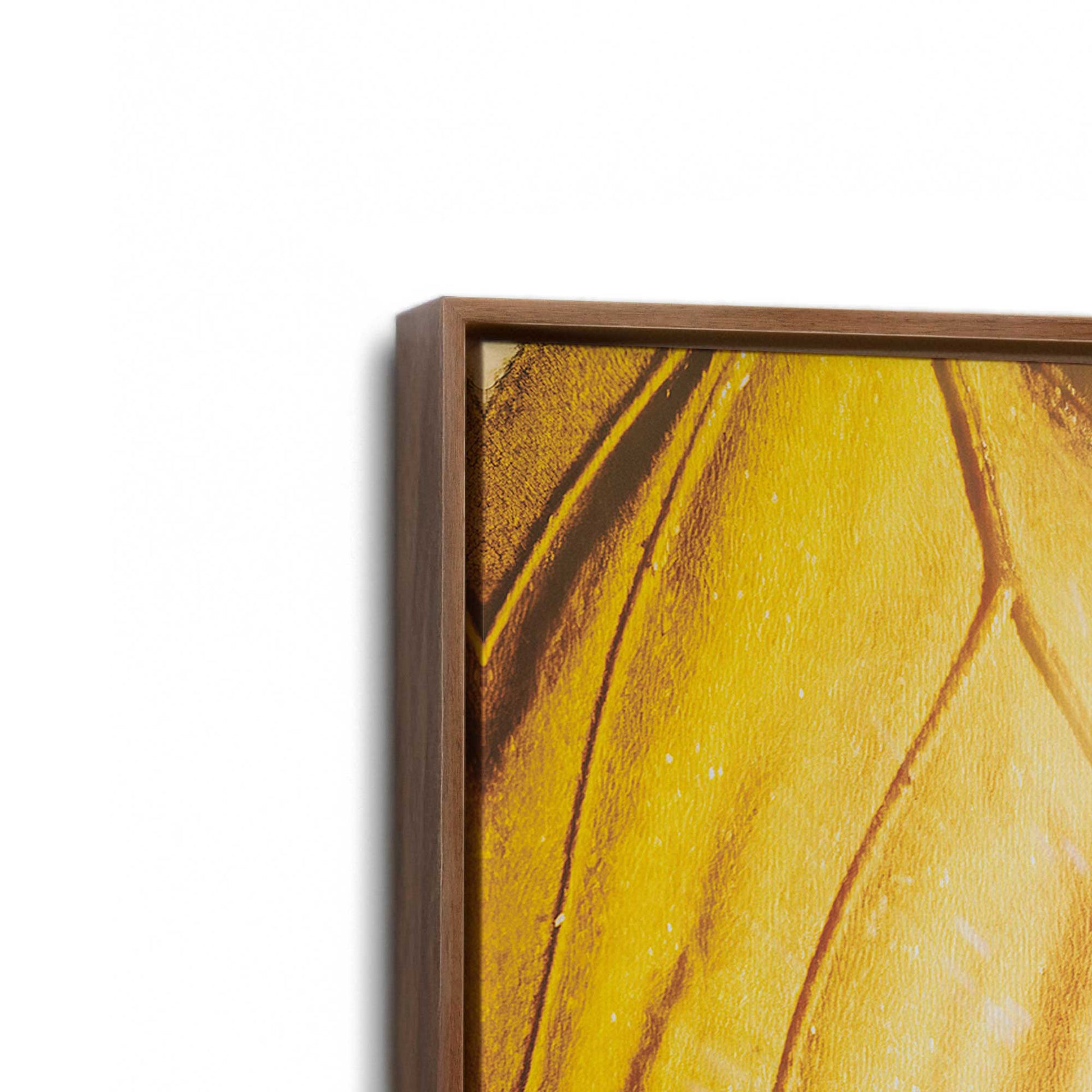 [Color:Walnut], Picture of art in a Walnut frame at an angle