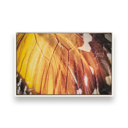 [Color:Opaque White], Picture of art in a White frame