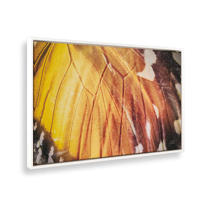 [Color:Opaque White], Picture of the corner of the art