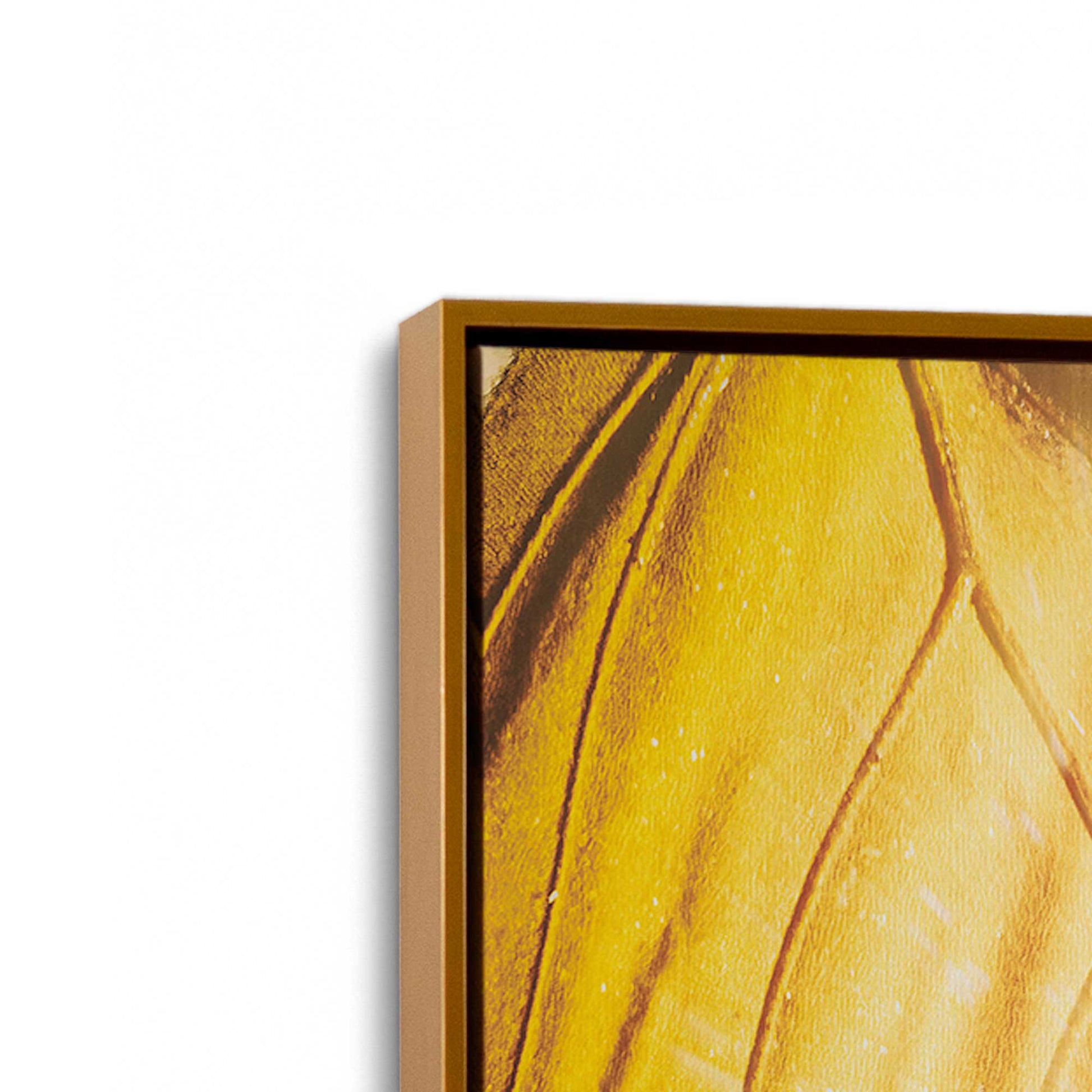 [Color:Polished Gold], Picture of art in a Polished Gold frame at an angle
