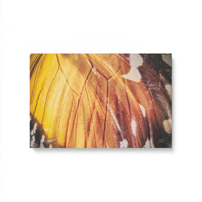 [Color:Stretched Canvas], Picture of art