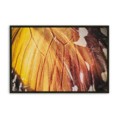 [Color:Satin Black], Picture of art in a Satin Black frame