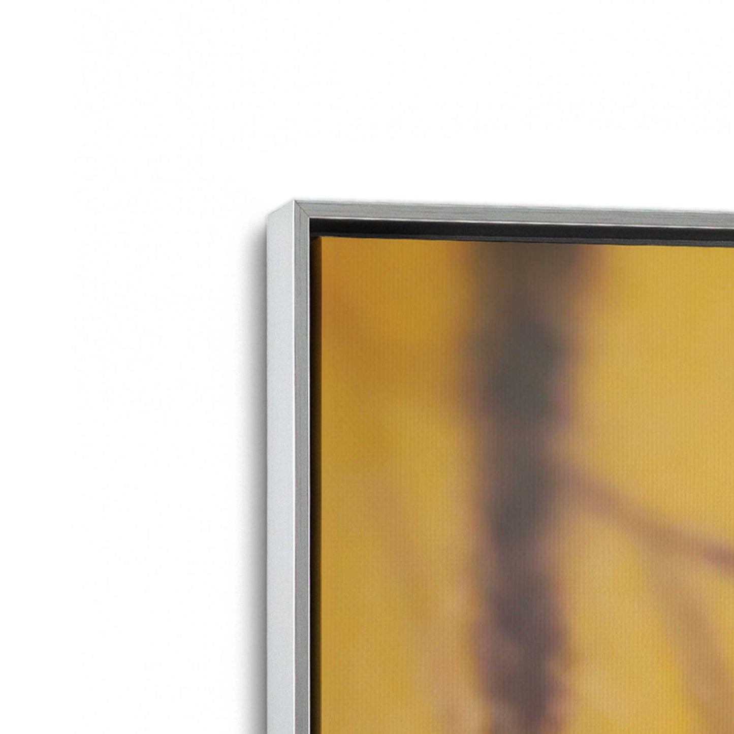[Color:Polished Chrome], Picture of art in a Polished Chrome frame at an angle