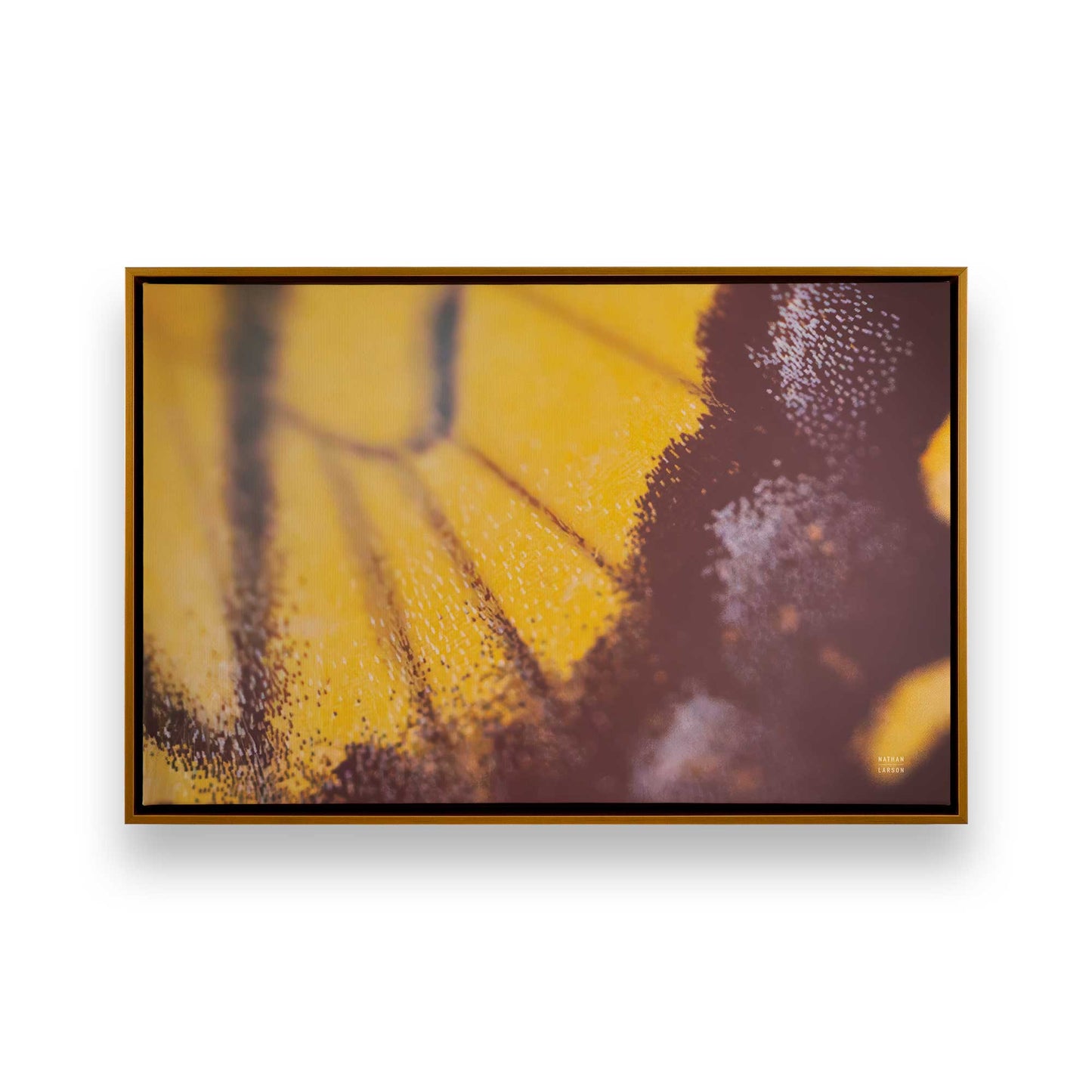 [Color:Polished Gold], Picture of art in a Polished Gold frame