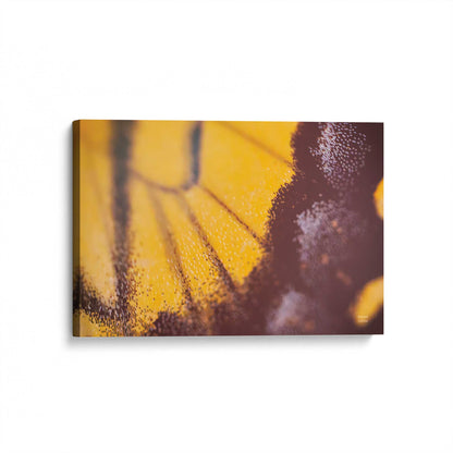[Color:Stretched Canvas], Picture of art at an angle