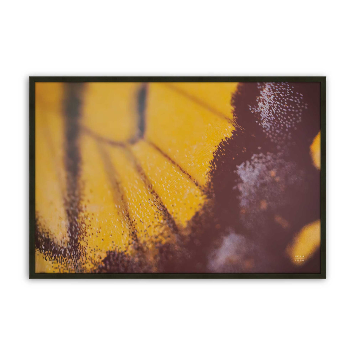 [Color:Satin Black], Picture of art in a Satin Black frame