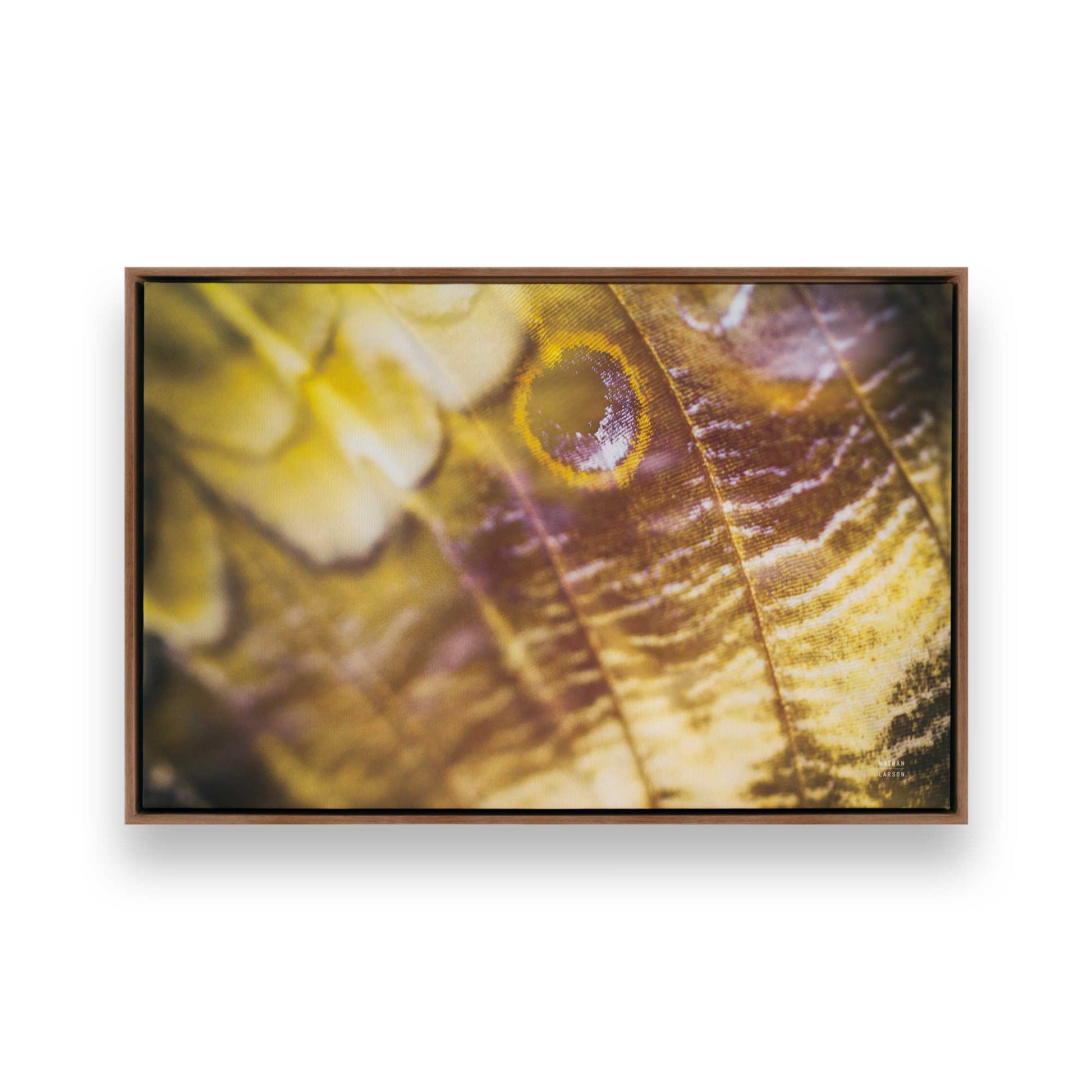 [Color:Walnut], Picture of art in a Walnut frame